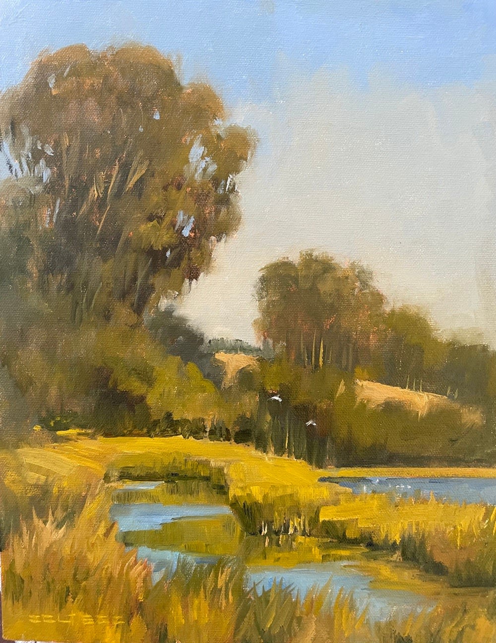 Tom Soltesz, Marshlands