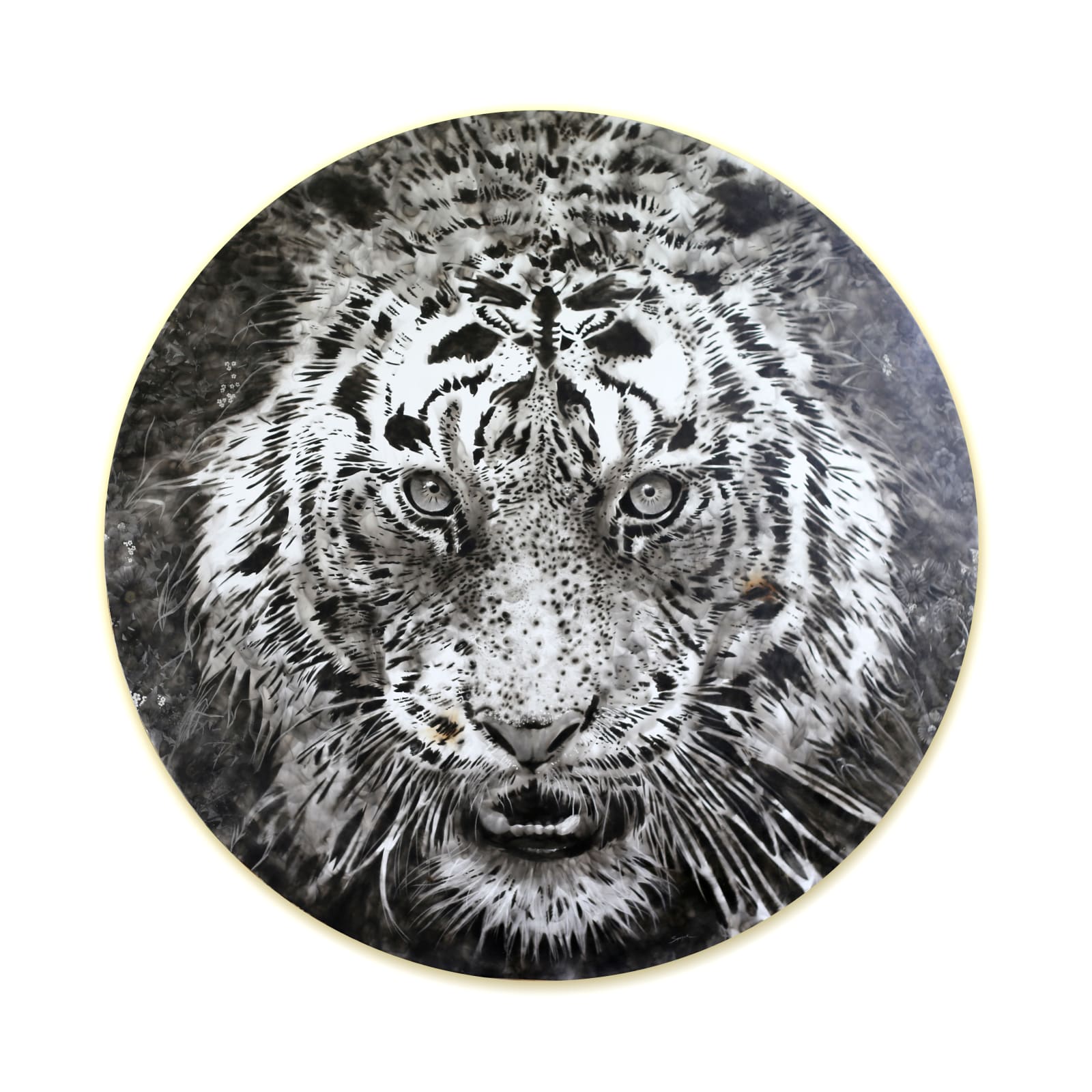 Steven Spazuk, Tiger