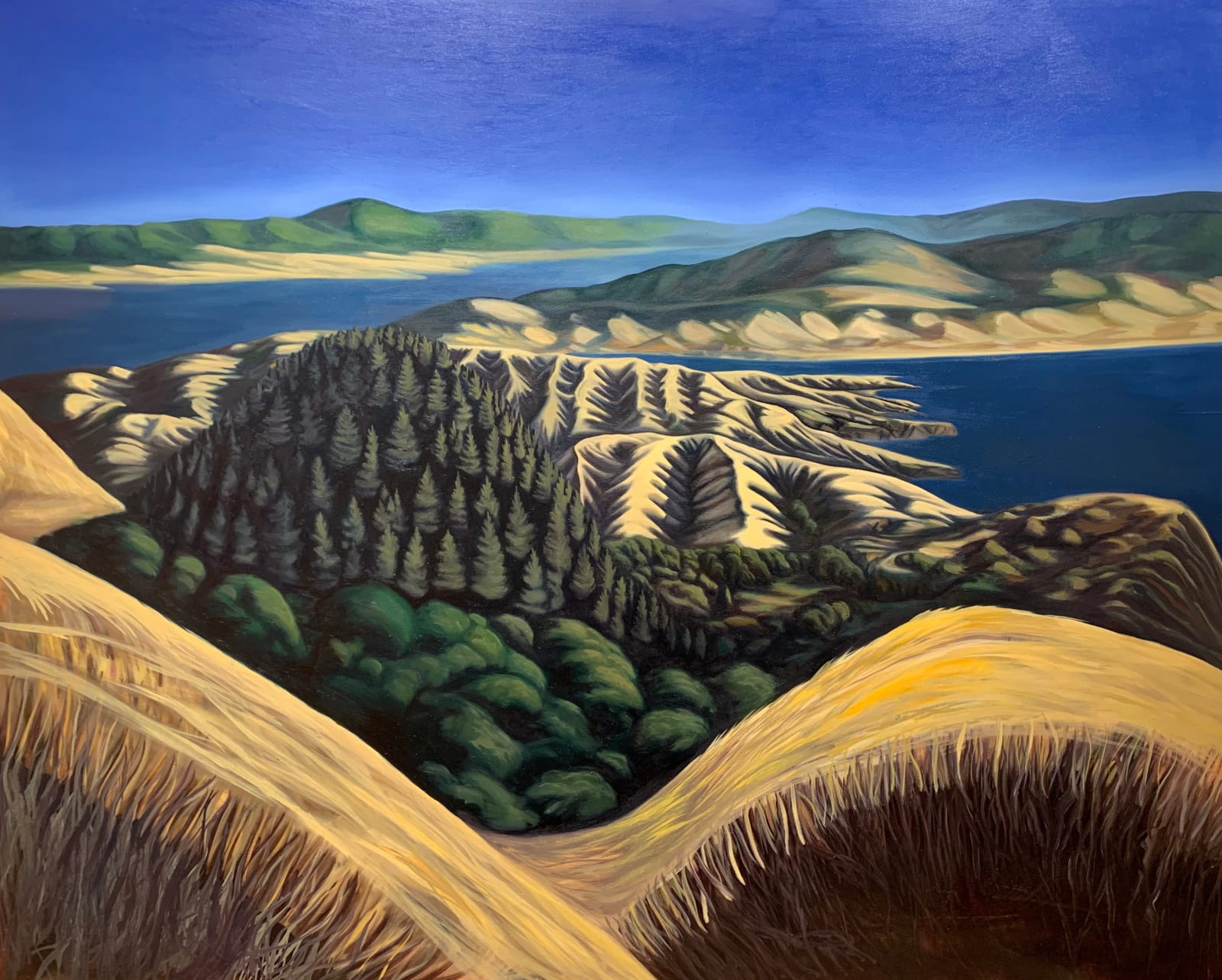 Katrina Magowan, Mount Tamalpais Looking South