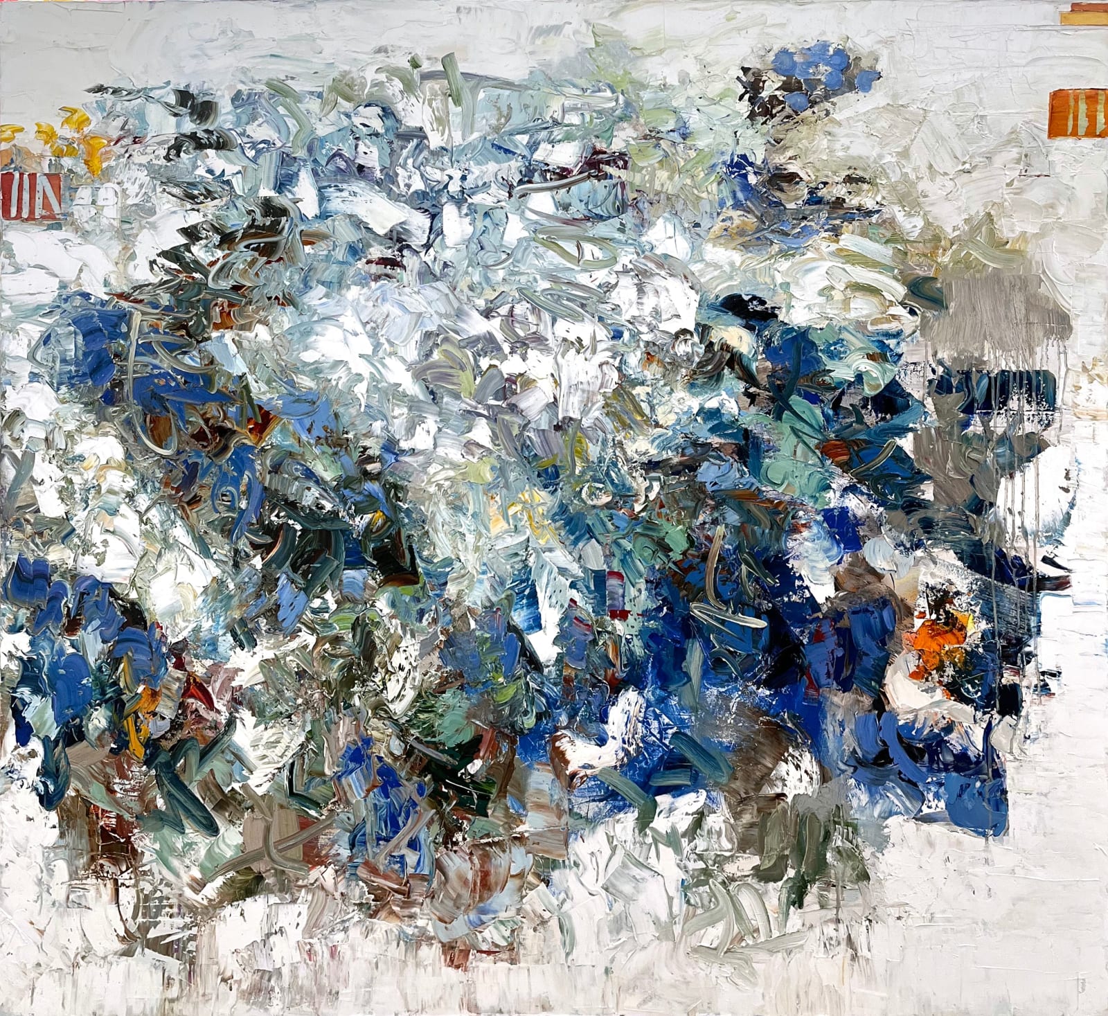 Chris Hayman, Wild Blue