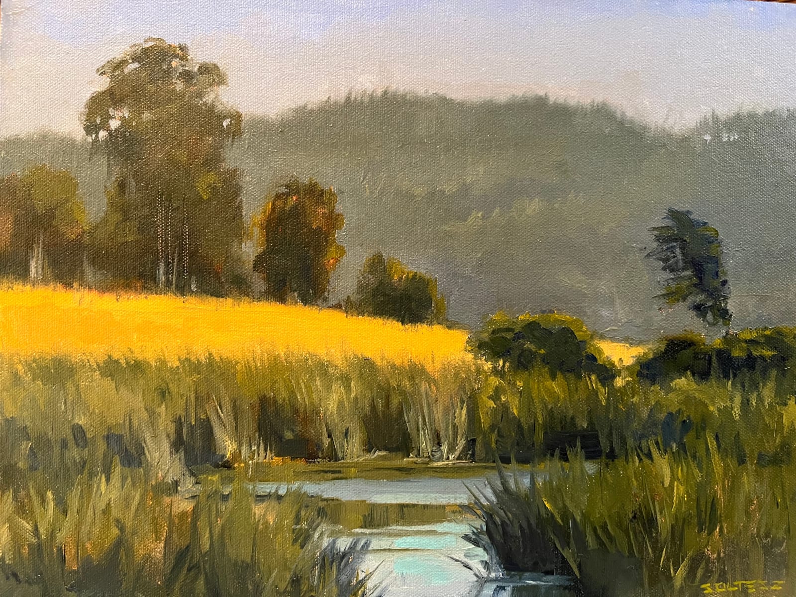 Tom Soltesz, On the Marsh