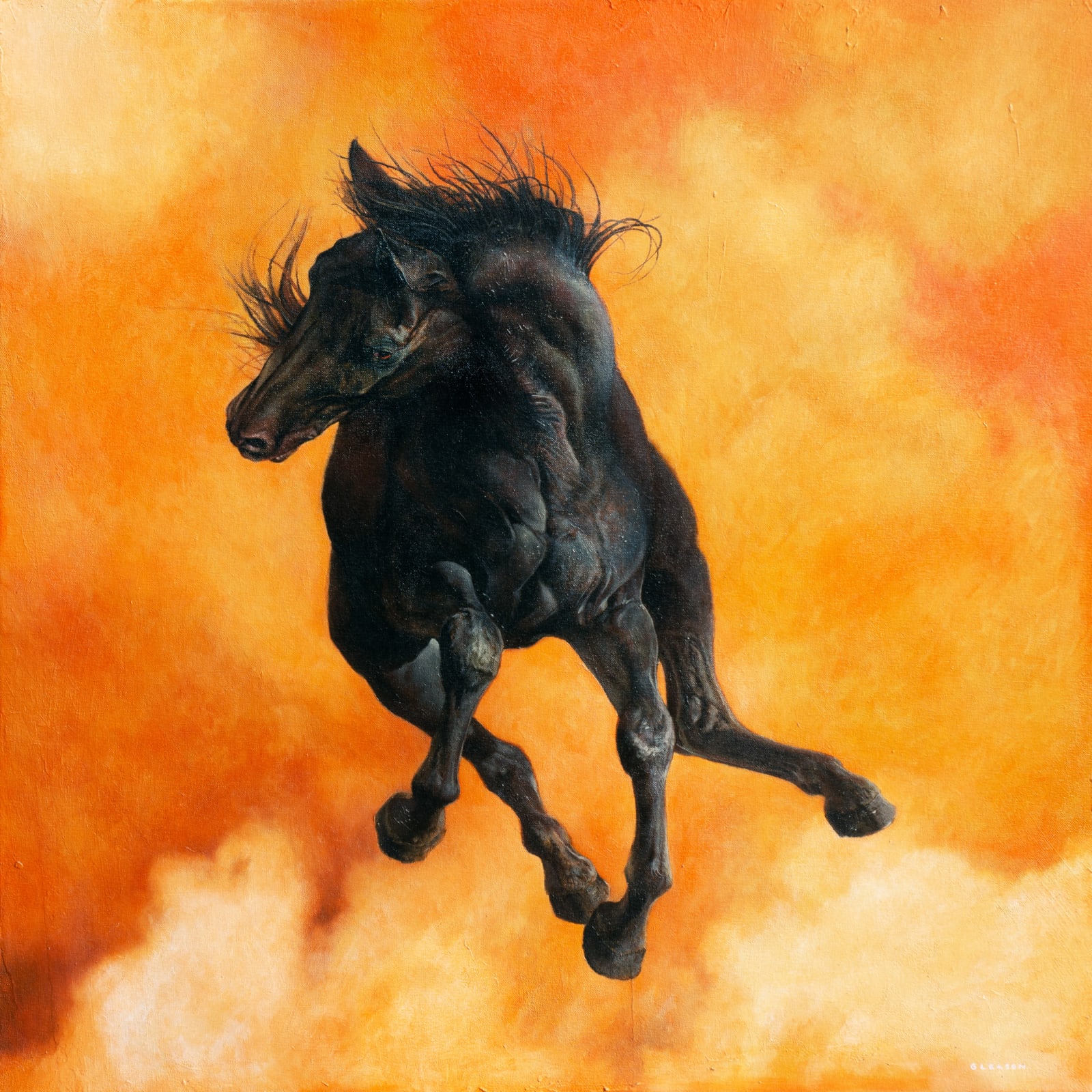Mark Gleason, Con Amor y Furia
