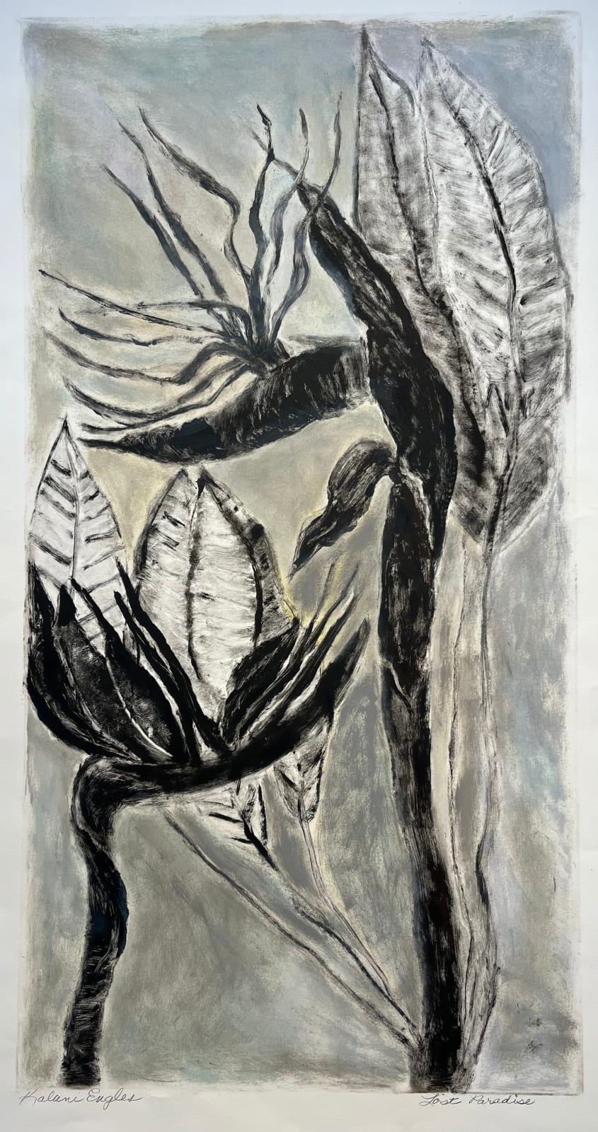 Kalani Engles, Lost Paradise