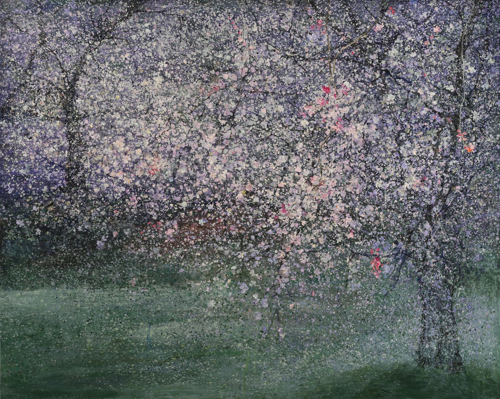 Mirang Wonne, Cherry Blossoms 4860-1