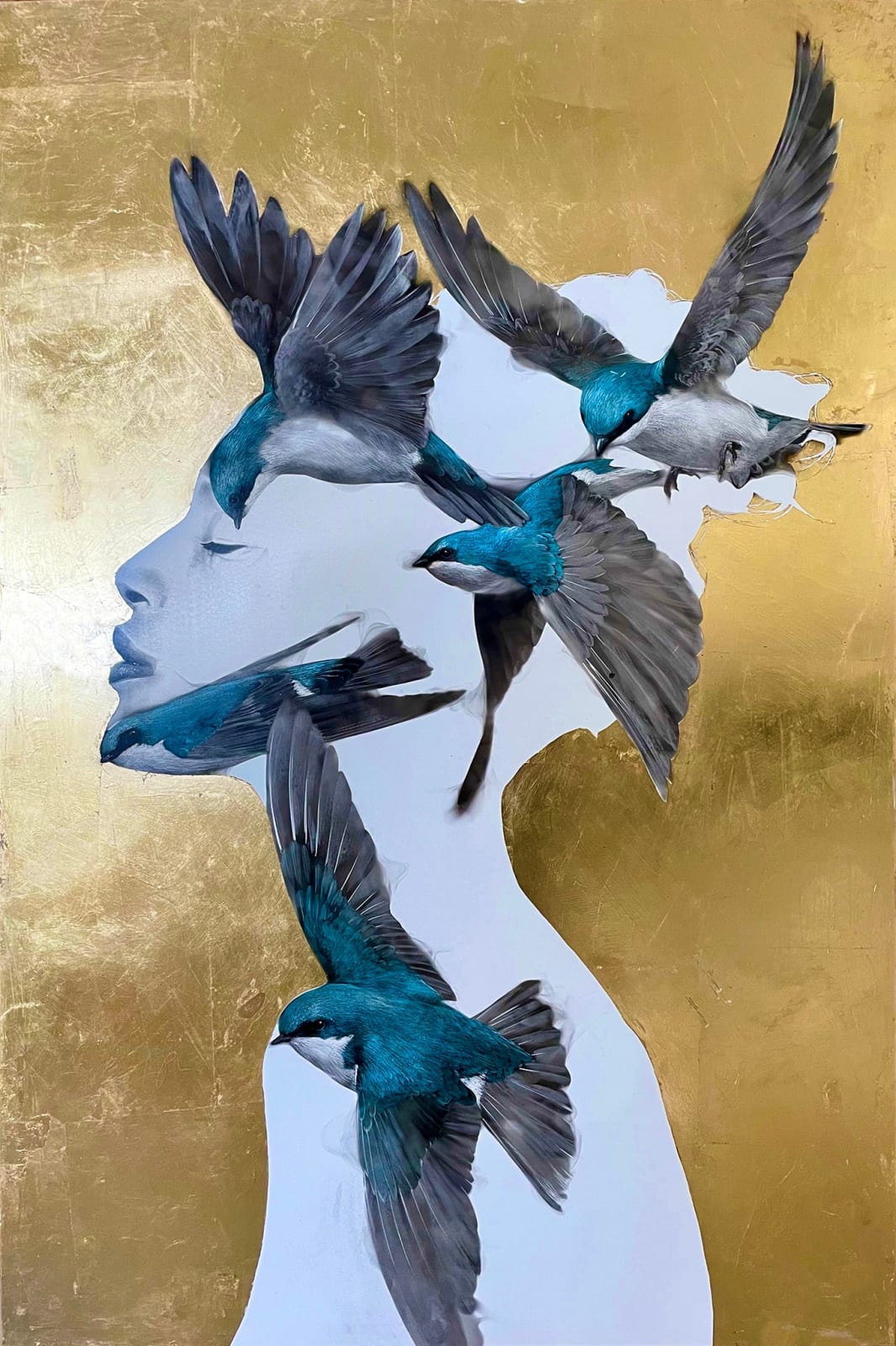 Steven Spazuk, 5 Swallows