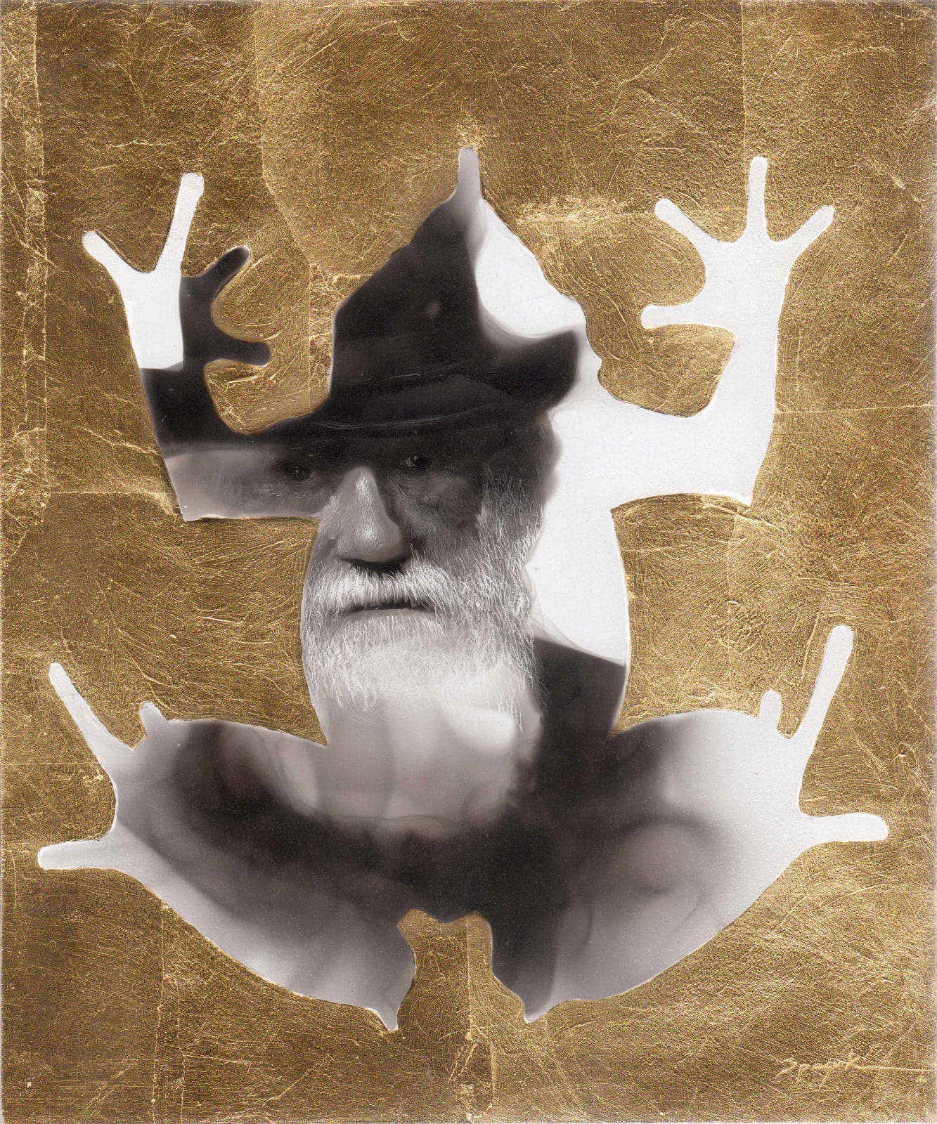 Steven Spazuk, Darwin 5 (Frog)