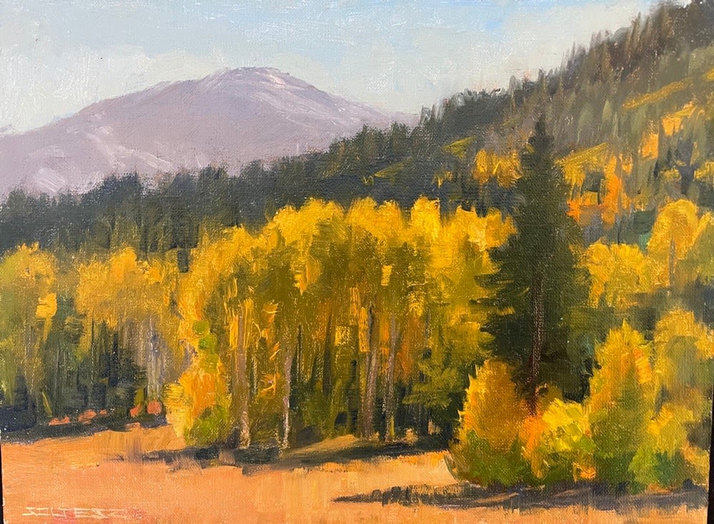 Tom Soltesz, Hopes Valley Aspens