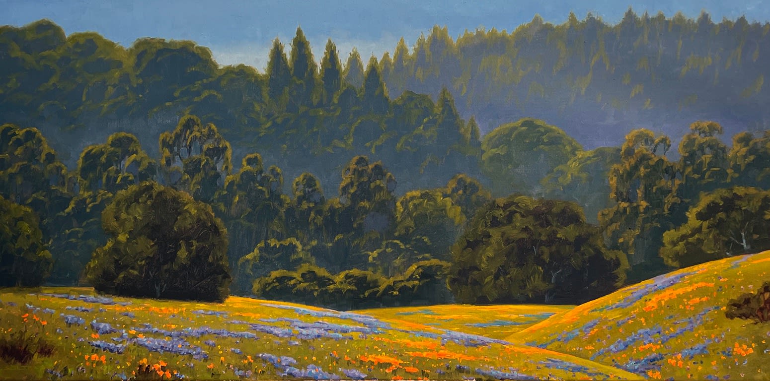 Tom Soltesz, Springtime in California