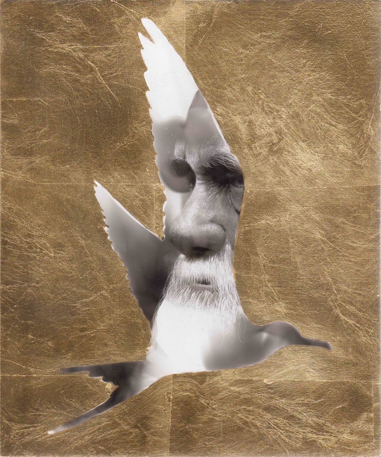 Steven Spazuk, Darwin 1 (Frigate)