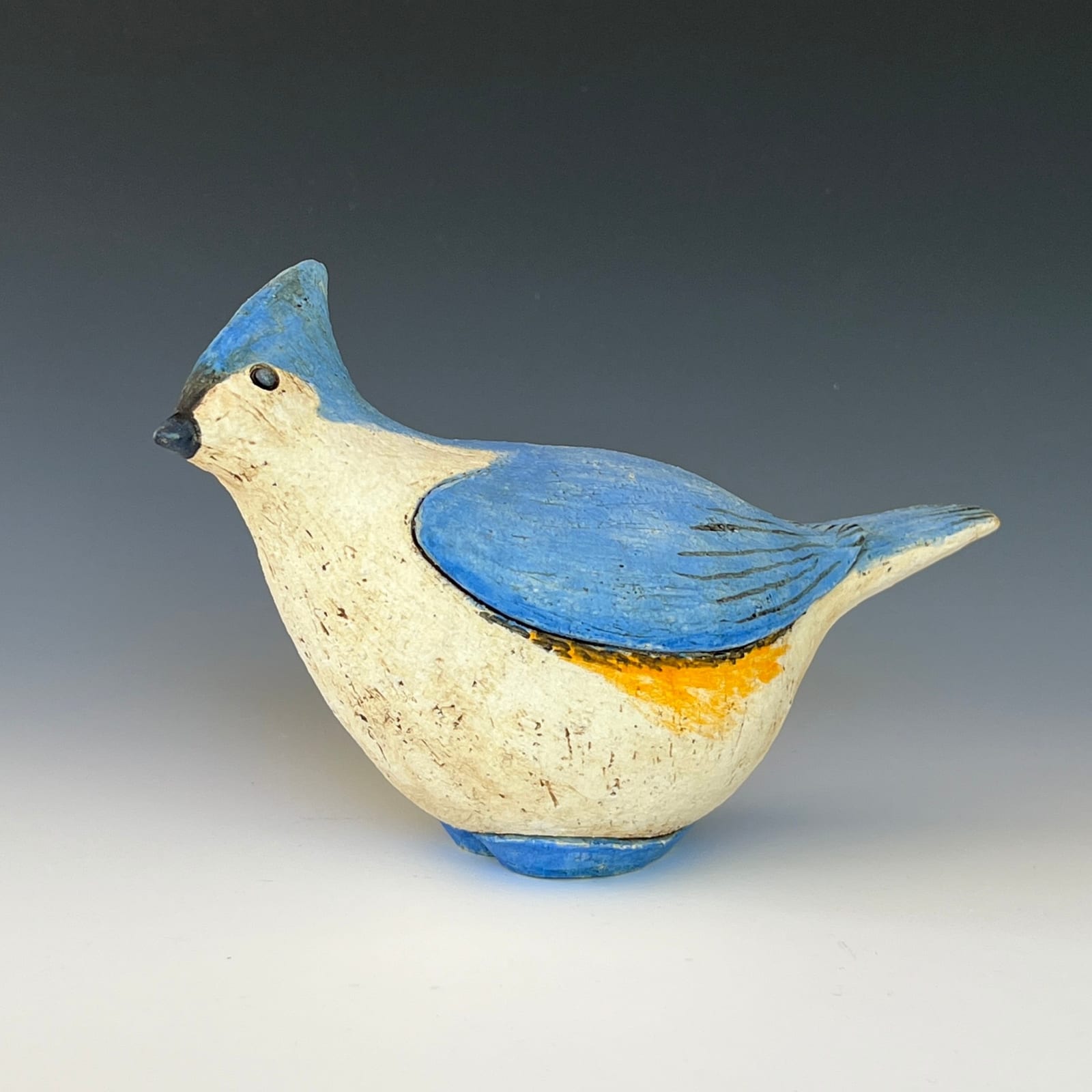 Fred Yokel, Tufted Titmouse