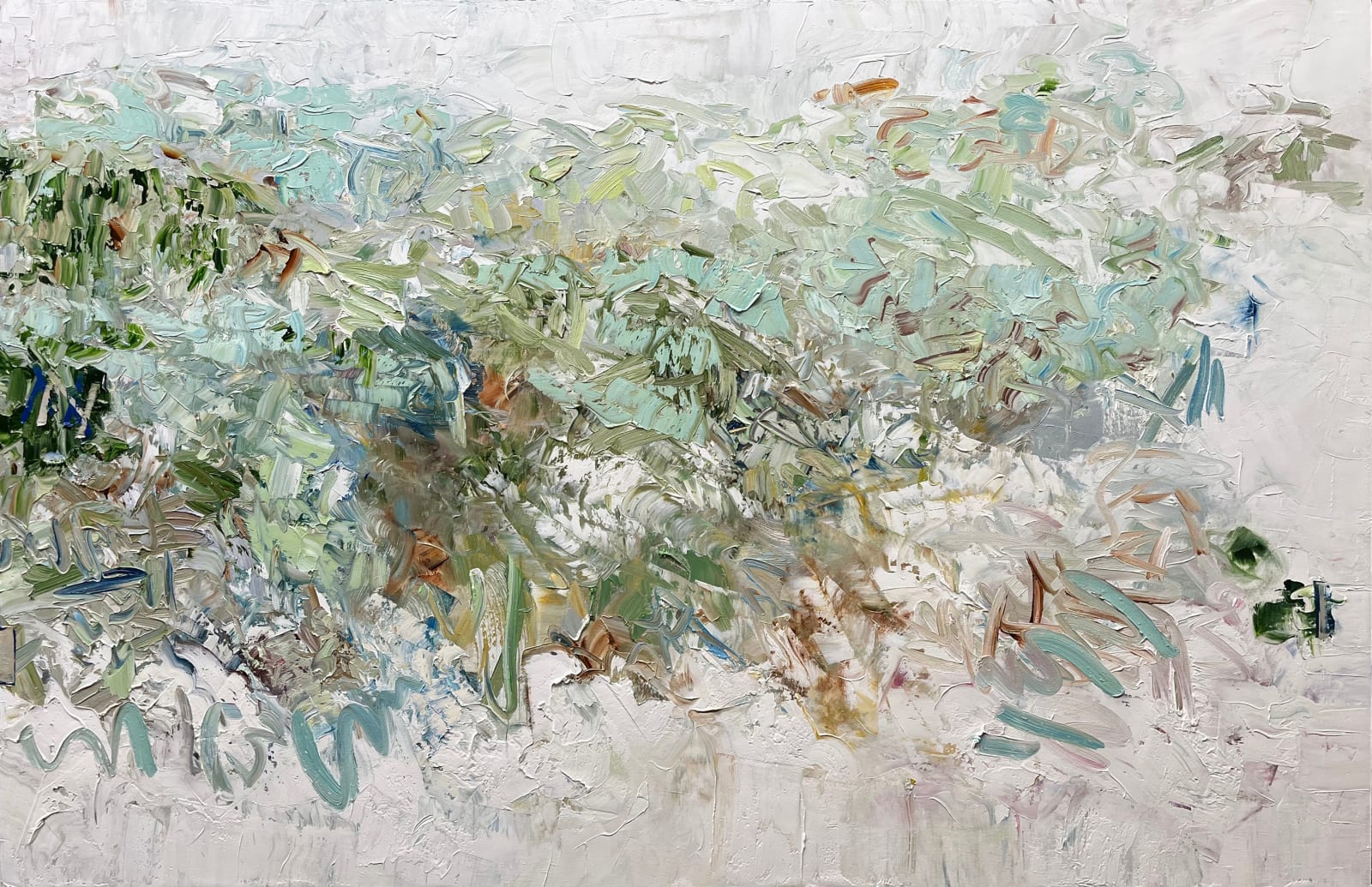 Chris Hayman, Grasslands