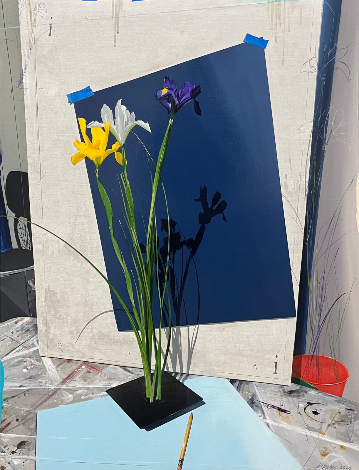 Paul Gibson, Is Iris