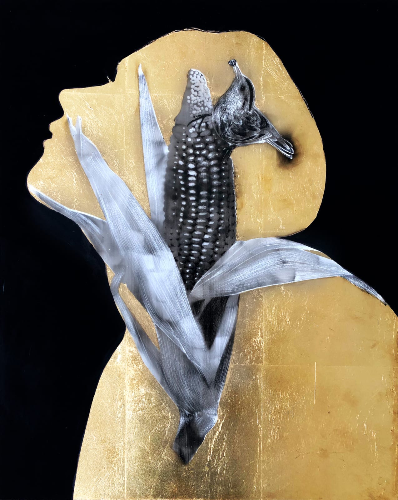 Steven Spazuk, Corn Woman