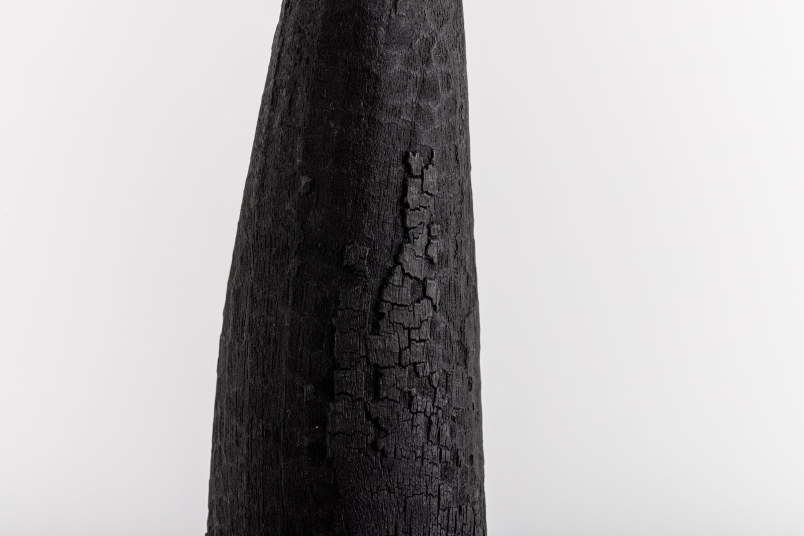 Marco Bellini, Feronia n. 5