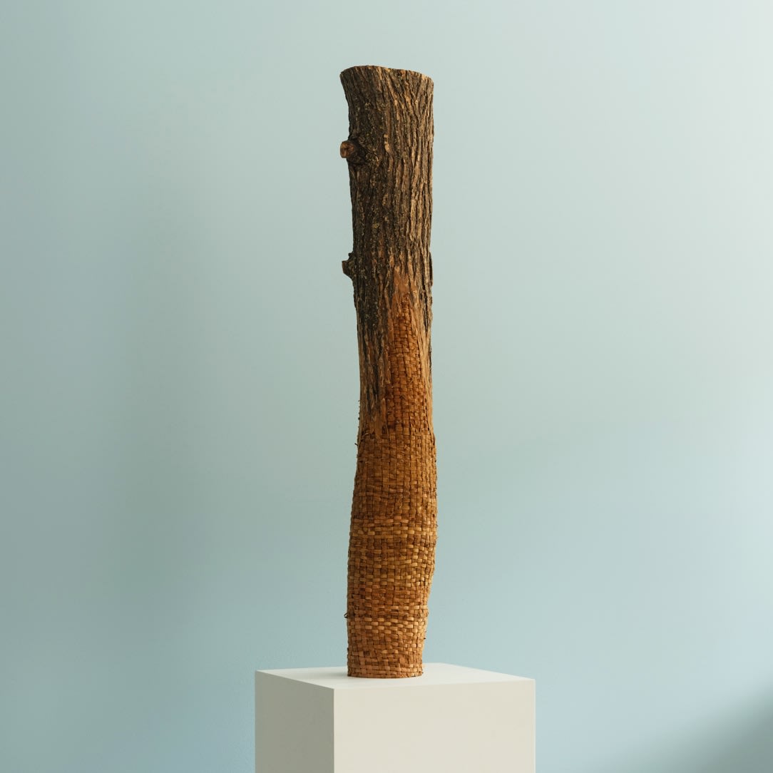 Katie Grove, Menhir I