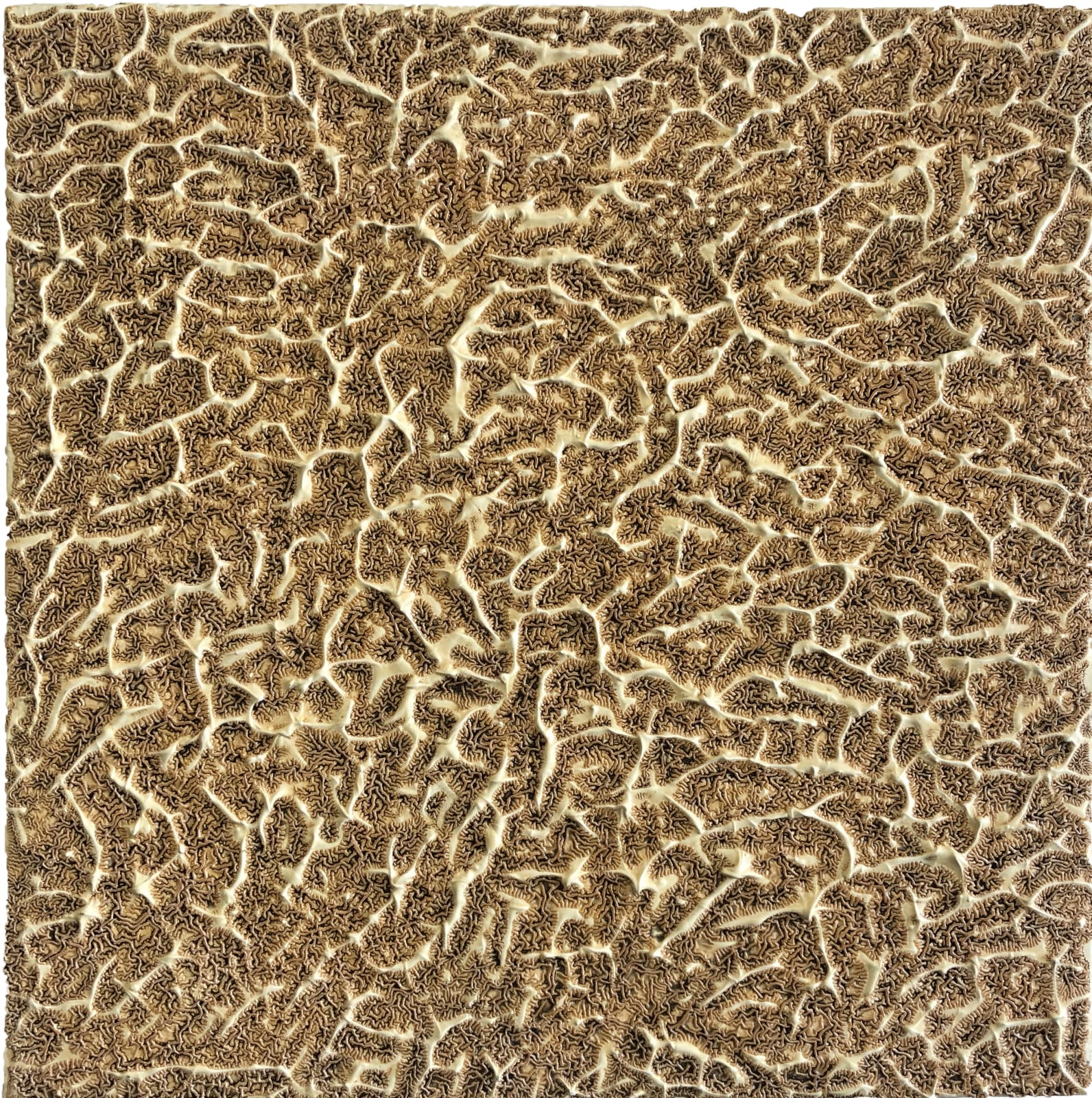 Gudrún Einarsdóttir, Untitled