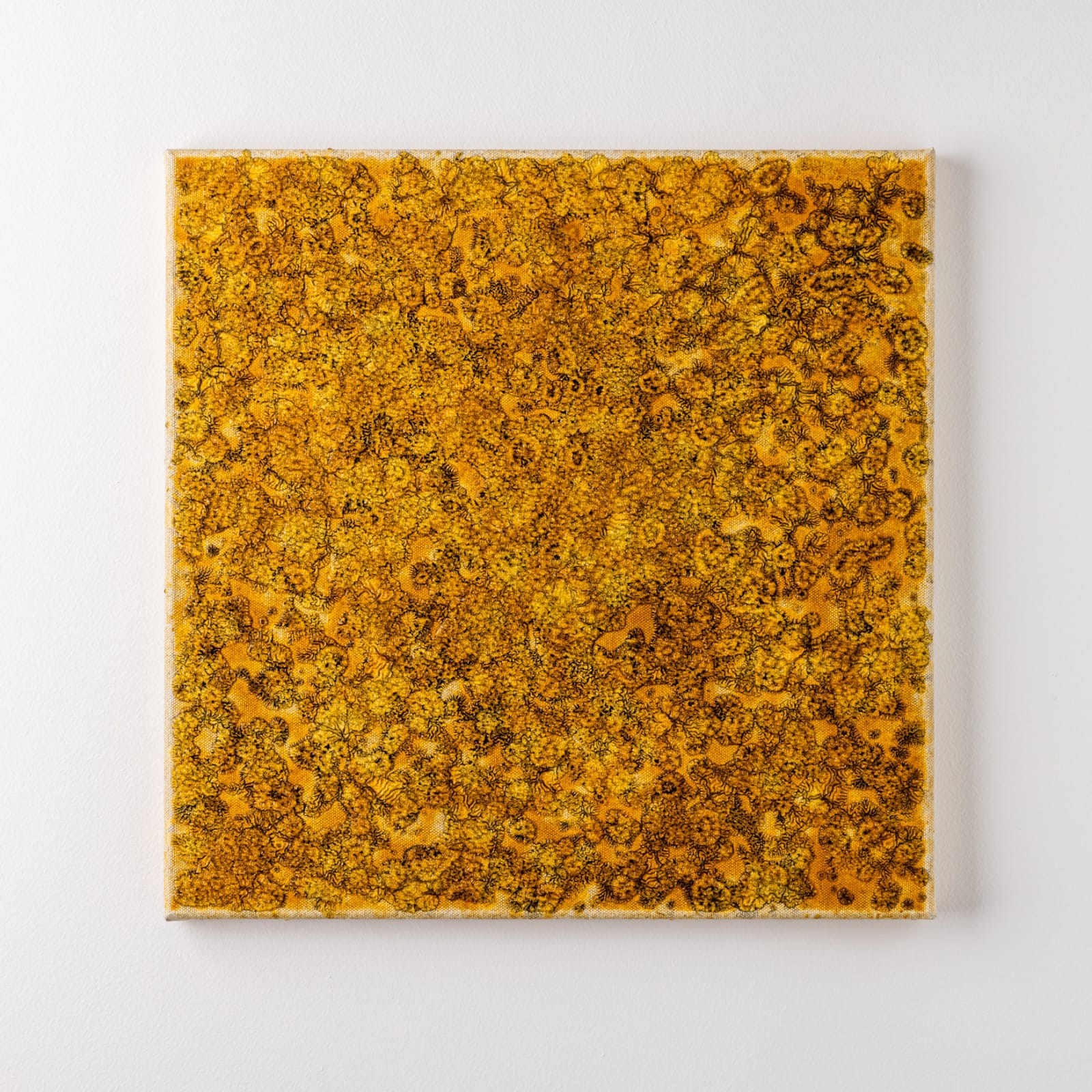 Gudrún Einarsdóttir, Untitled