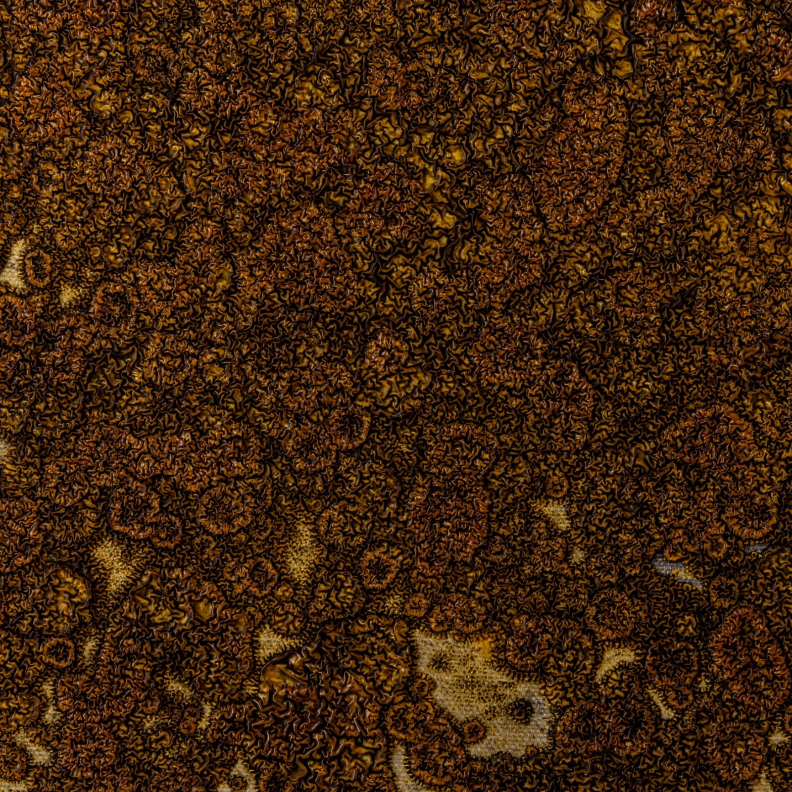 Gudrún Einarsdóttir, Untitled