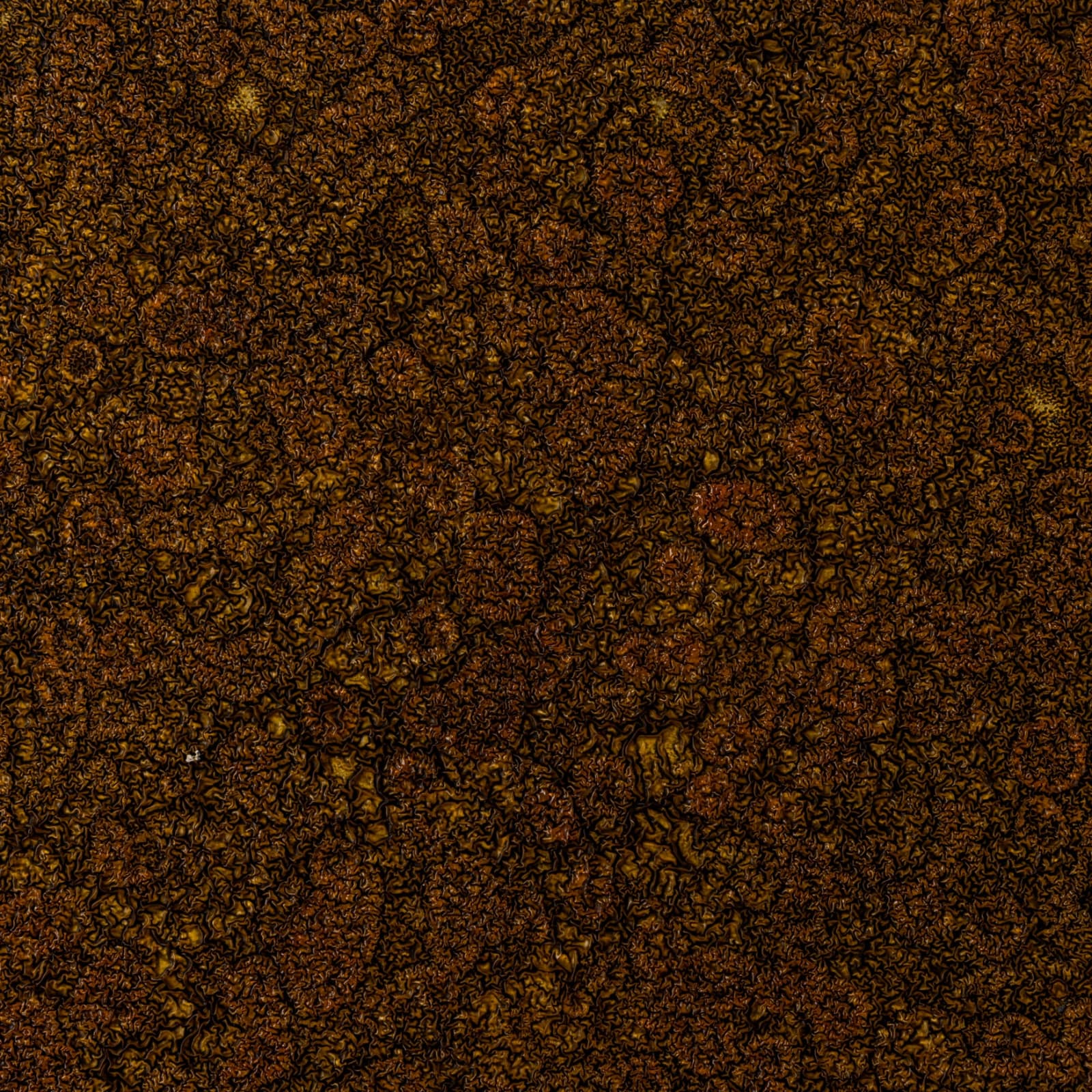 Gudrún Einarsdóttir, Untitled