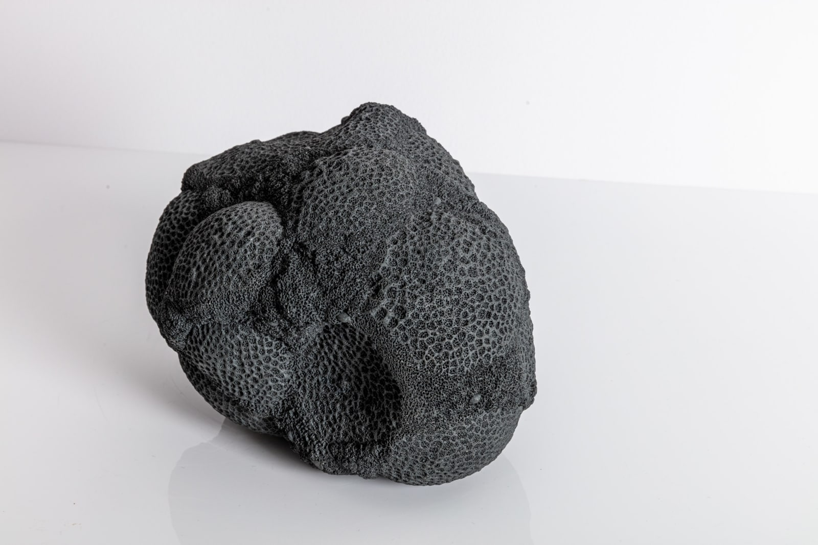 Nathalie Doyen, La 366 ème nuit