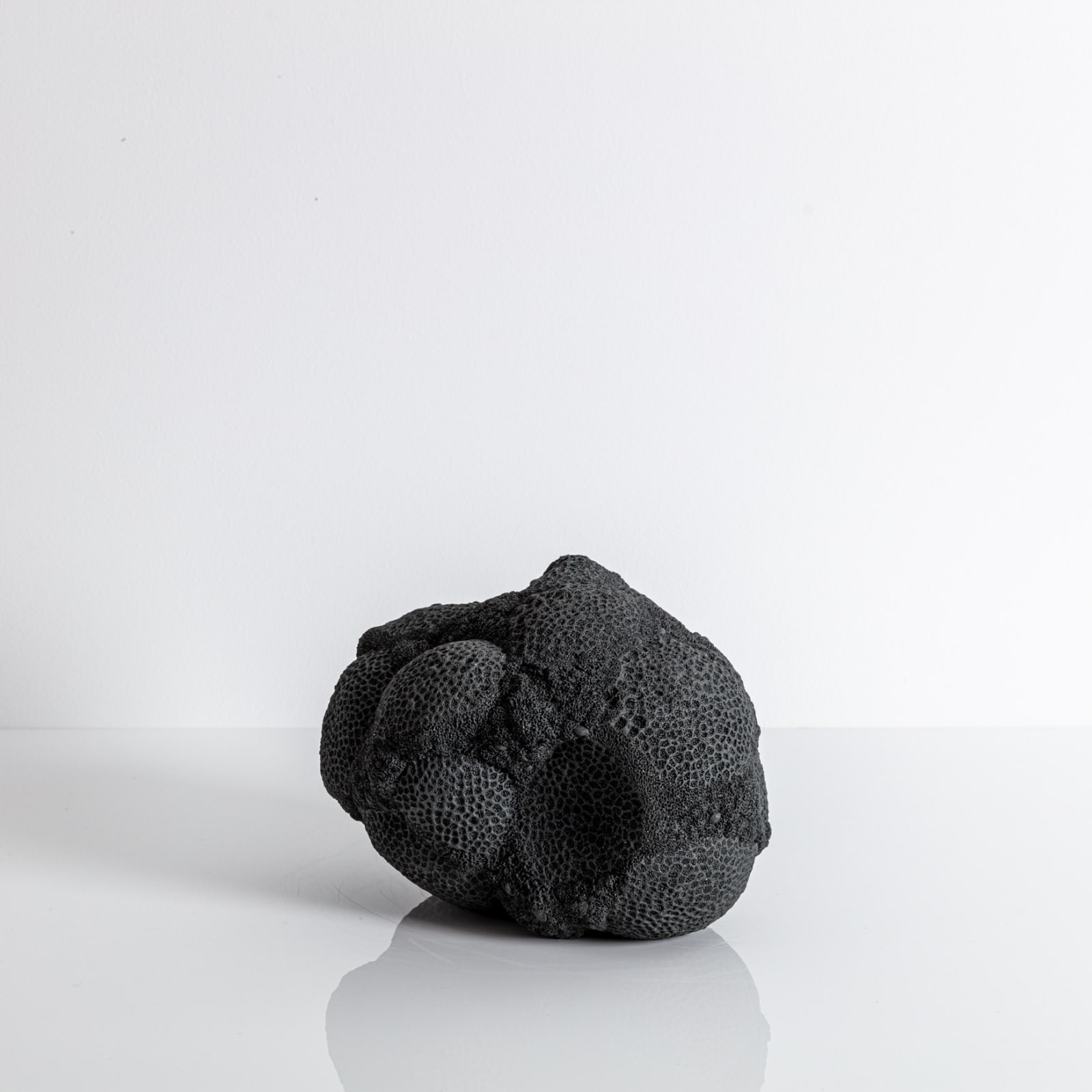 Nathalie Doyen, La 366 ème nuit