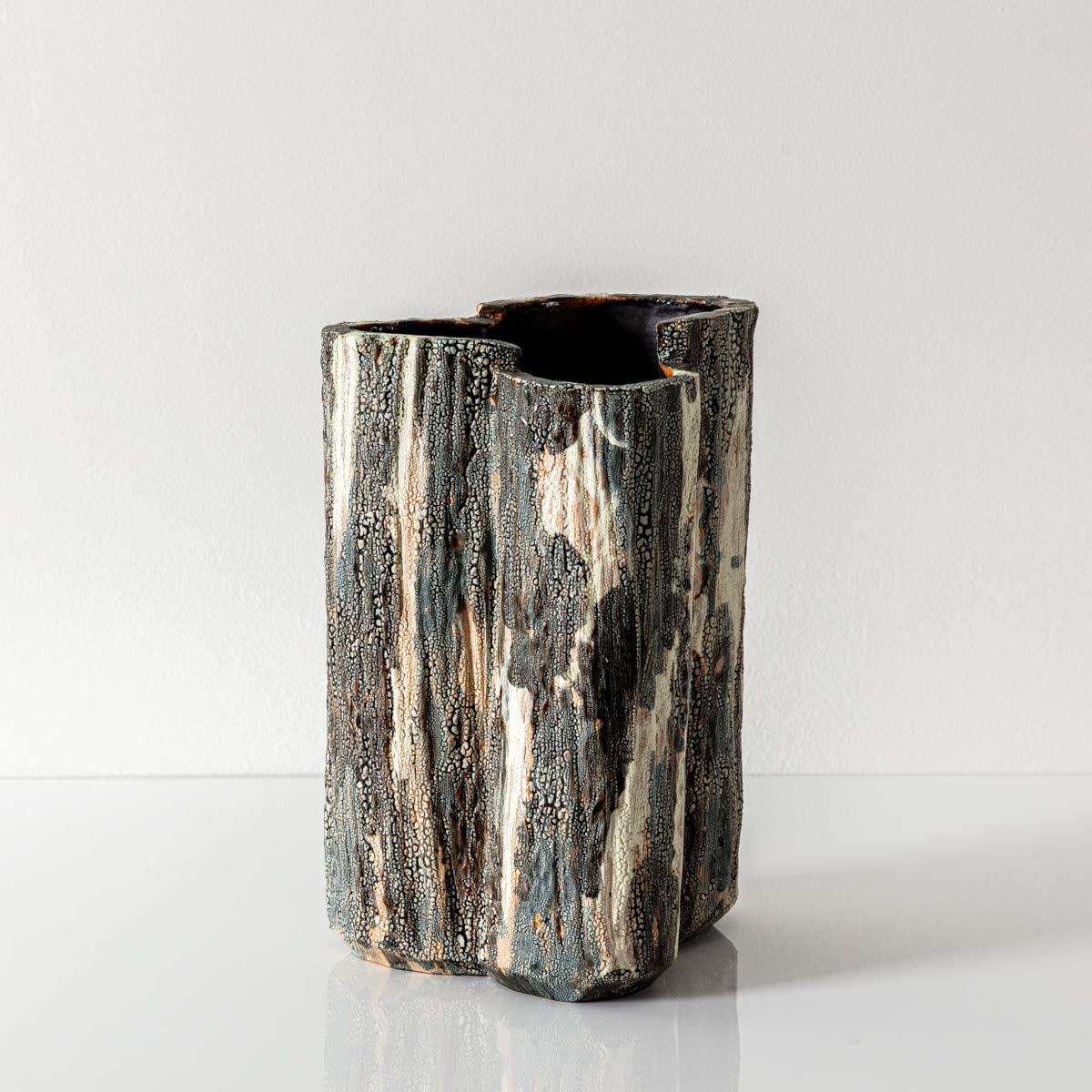 Gary Dipasquale, Asymmetrical Bark Vessel