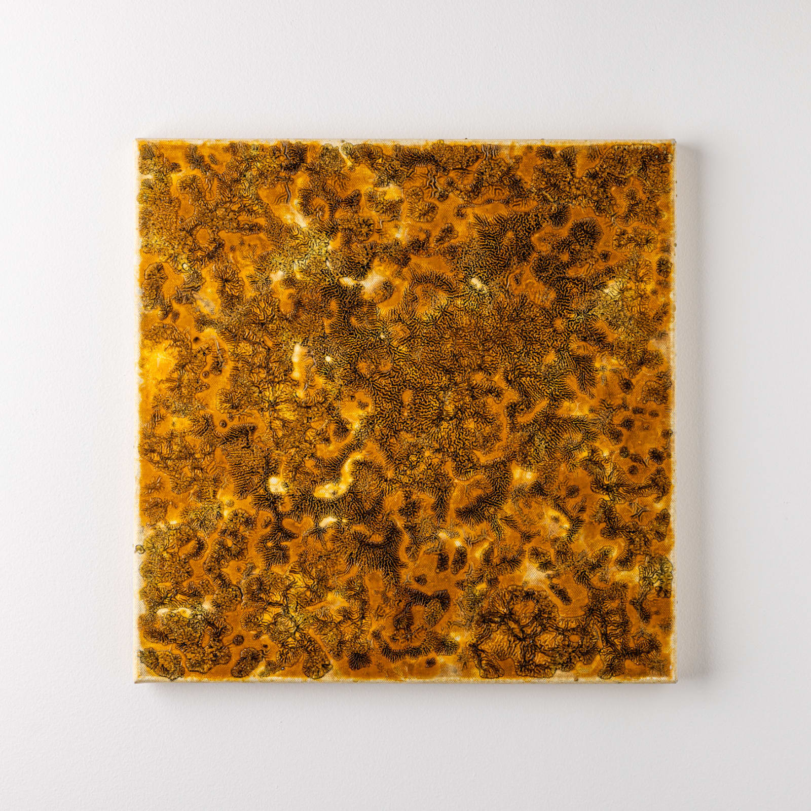 Gudrún Einarsdóttir, Untitled