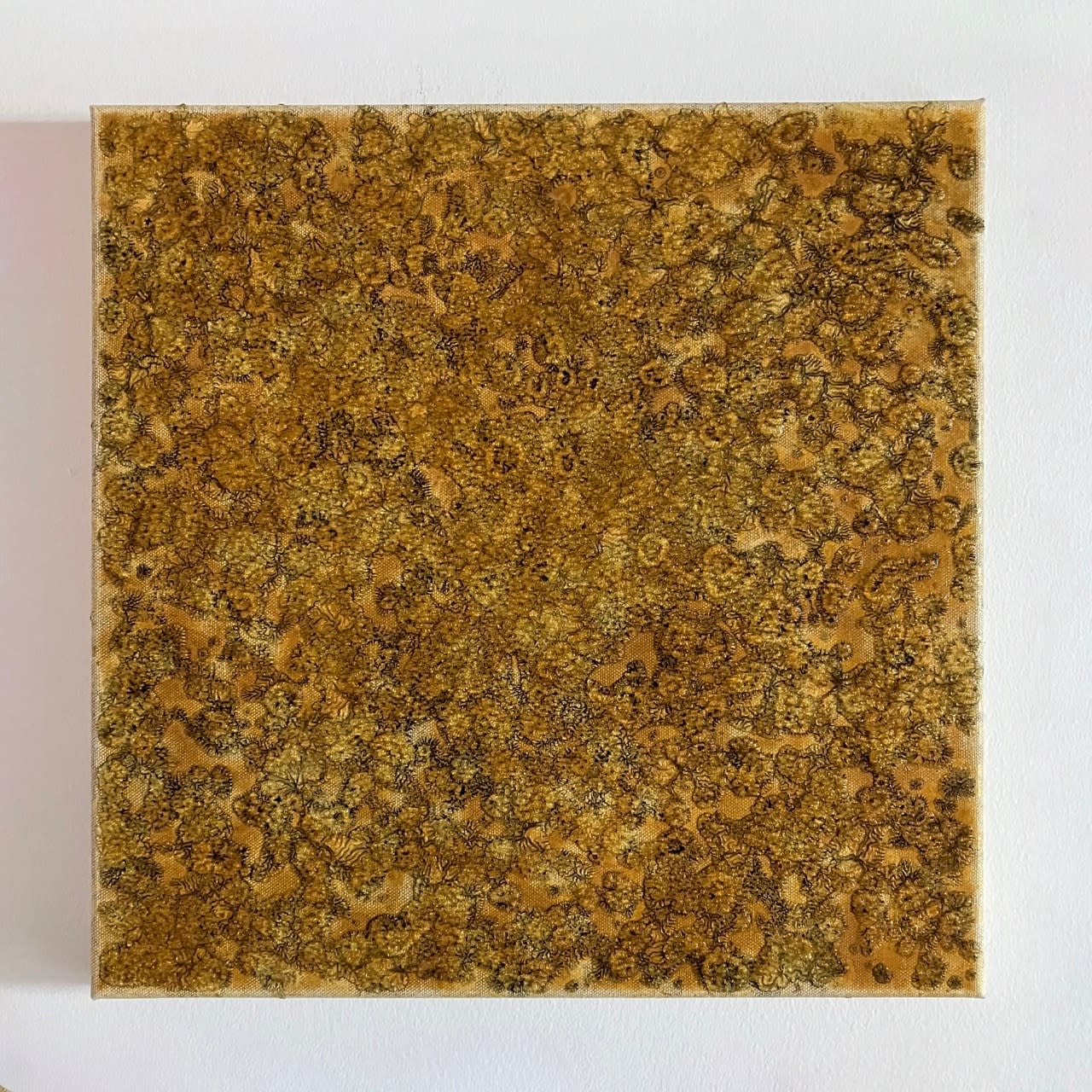Gudrún Einarsdóttir, Untitled