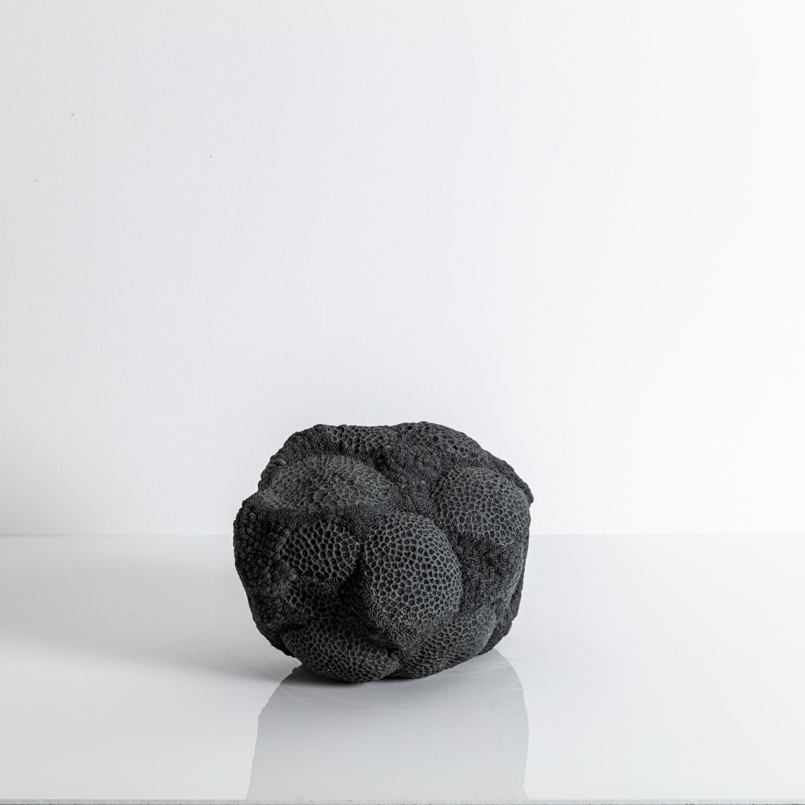 Nathalie Doyen, La 366 ème nuit