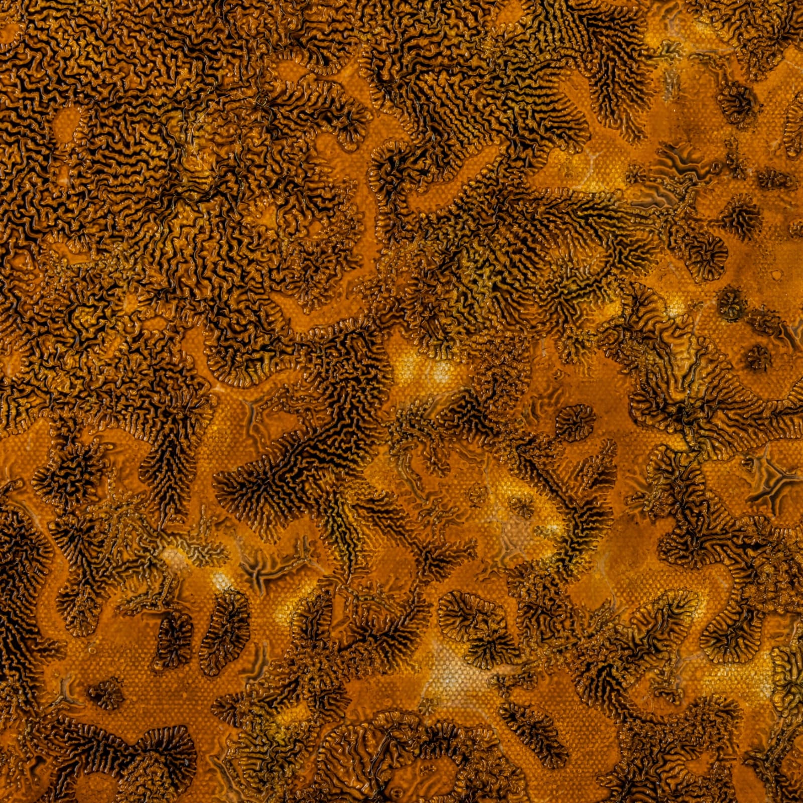 Gudrún Einarsdóttir, Untitled