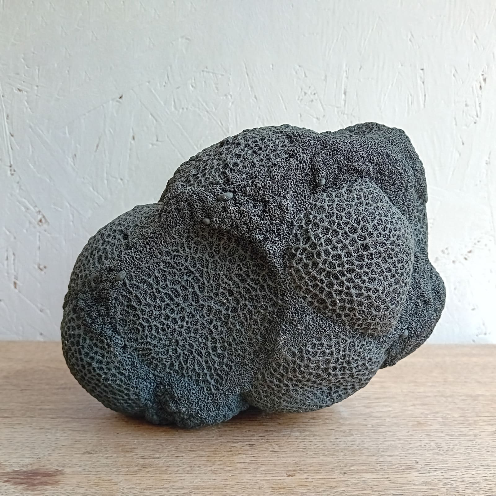 Nathalie Doyen, La 366 ème nuit