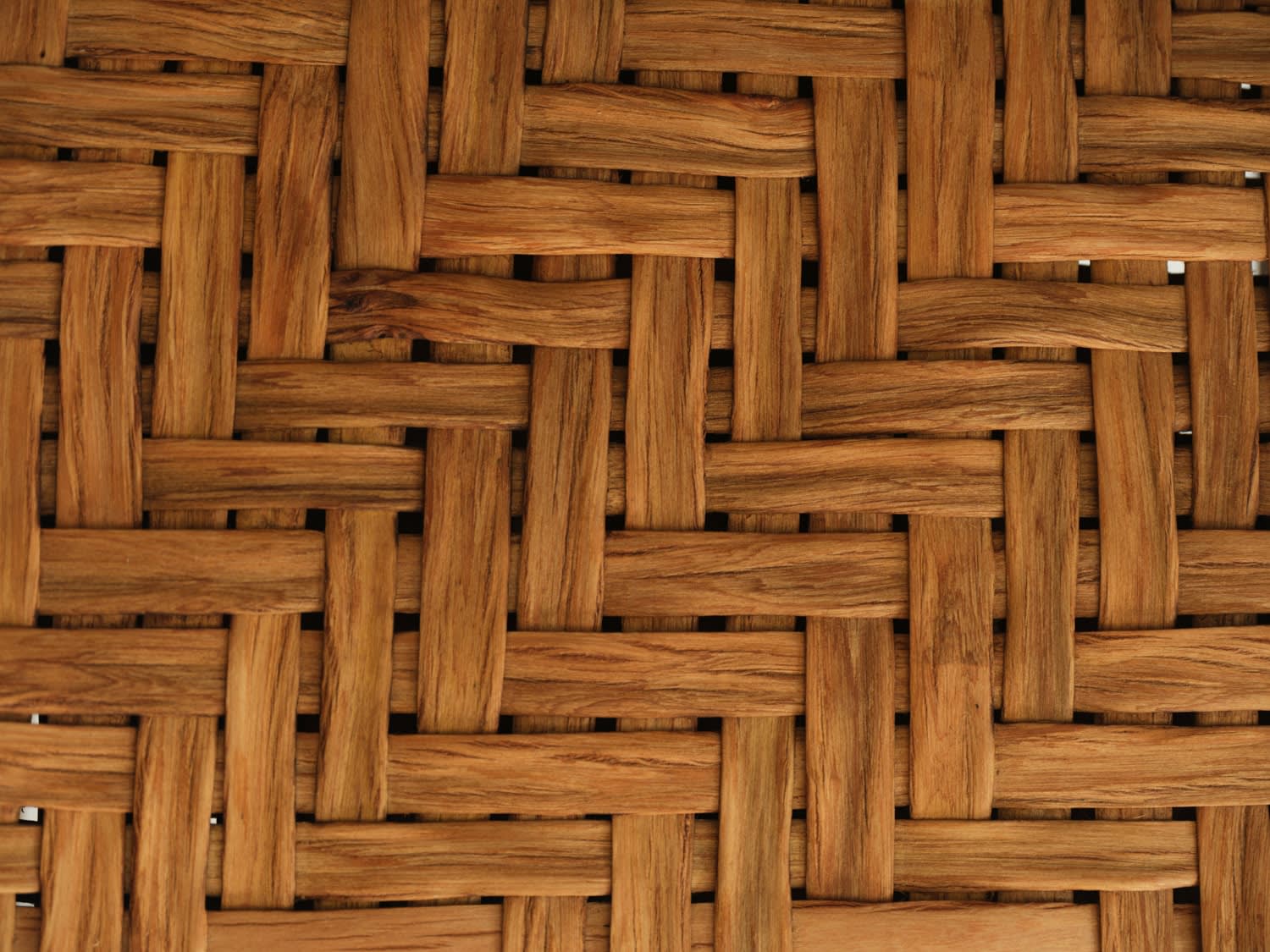 Jason Roskey of fern, Caro Chair