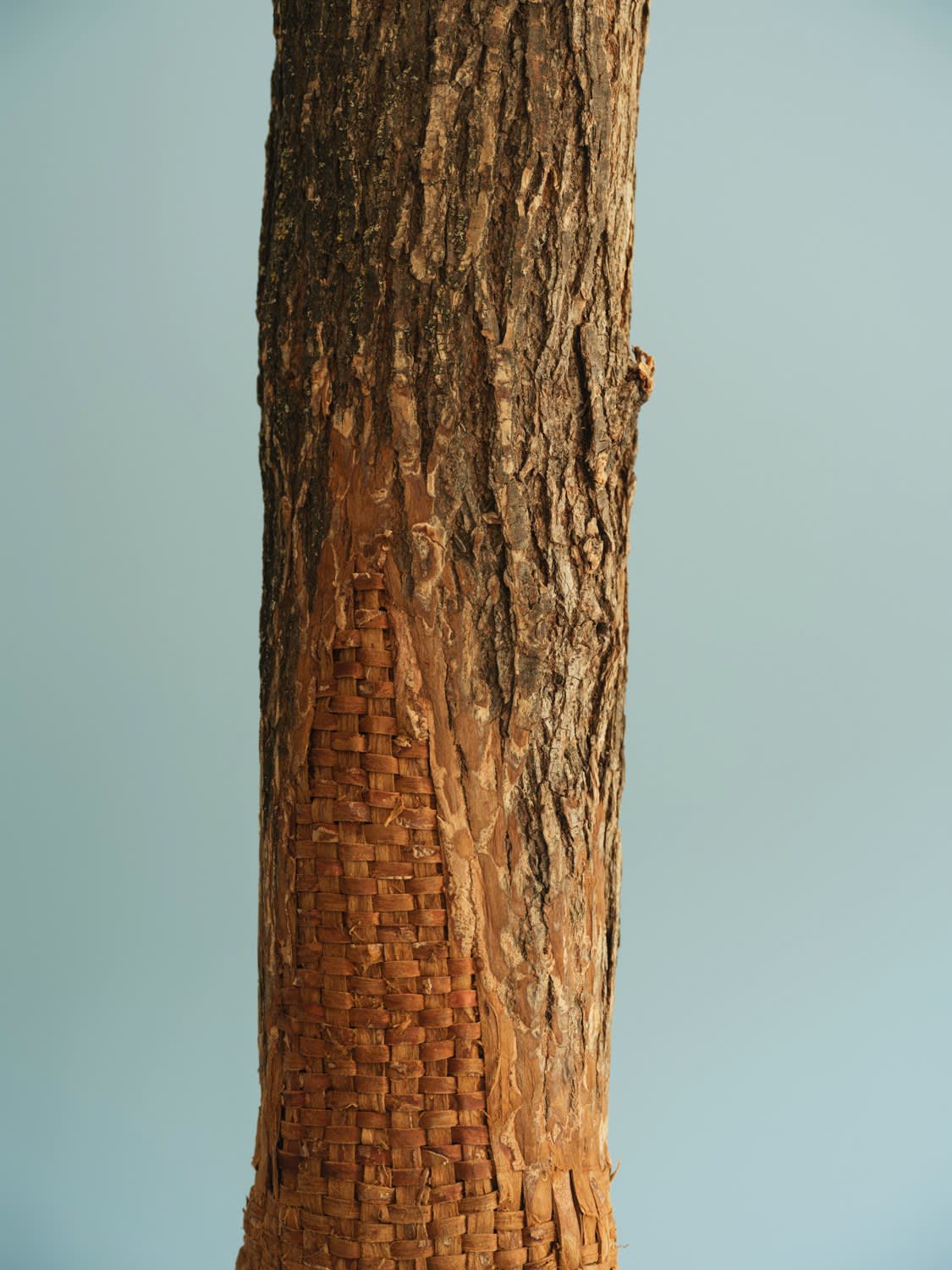 Katie Grove, Menhir I
