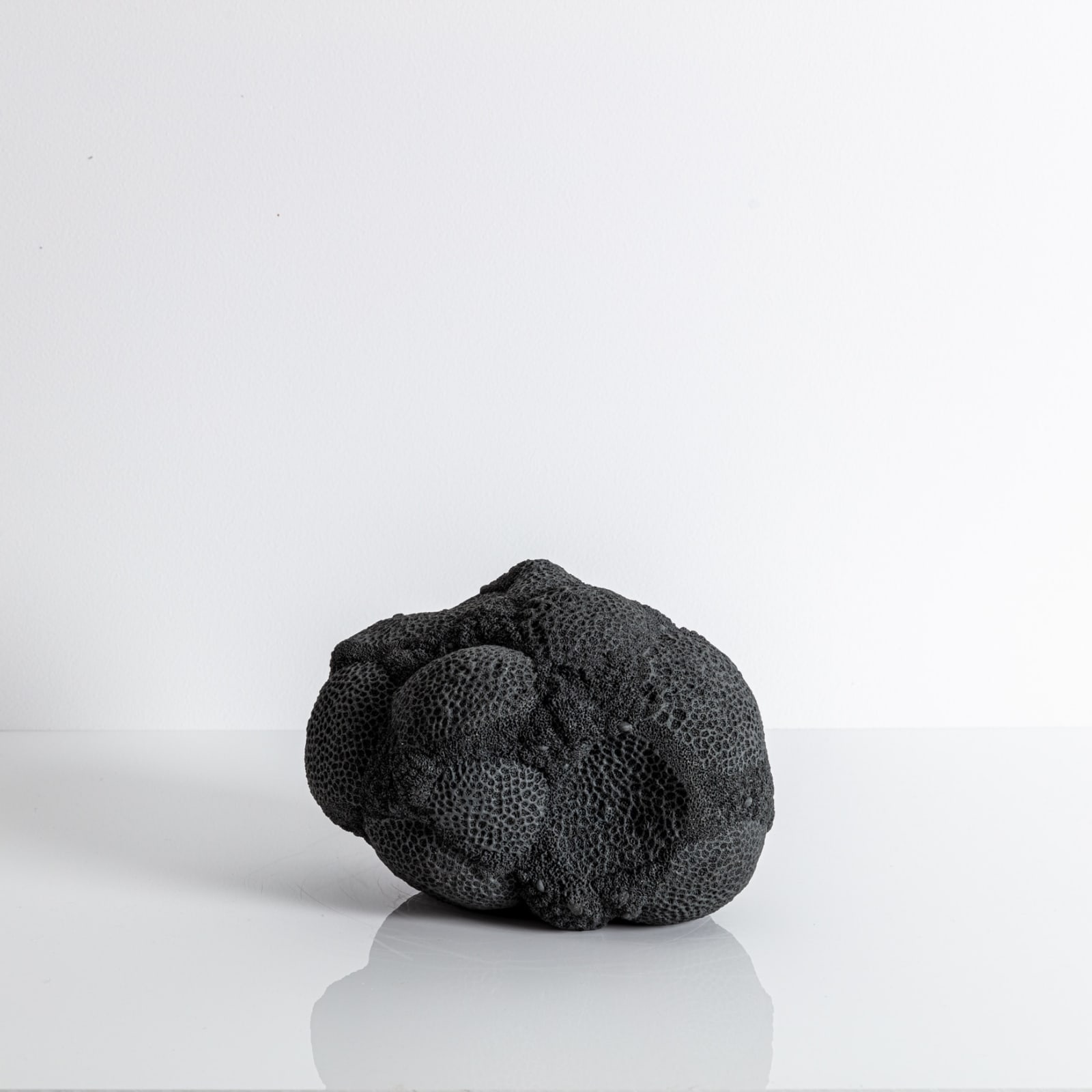 Nathalie Doyen, La 366 ème nuit