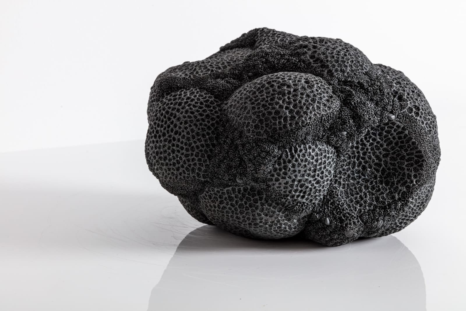 Nathalie Doyen, La 366 ème nuit