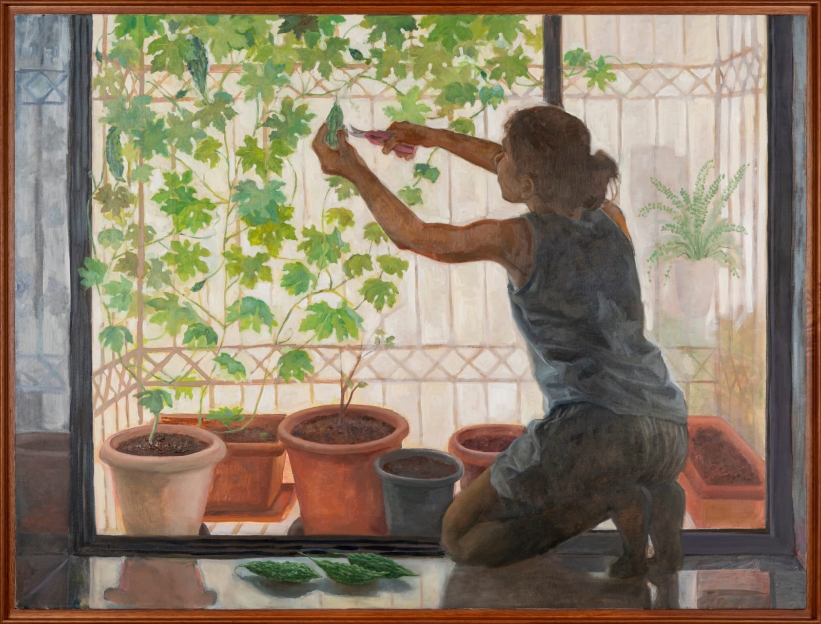 Hemali Vadalia, karela Plant / Window Garden, 2025