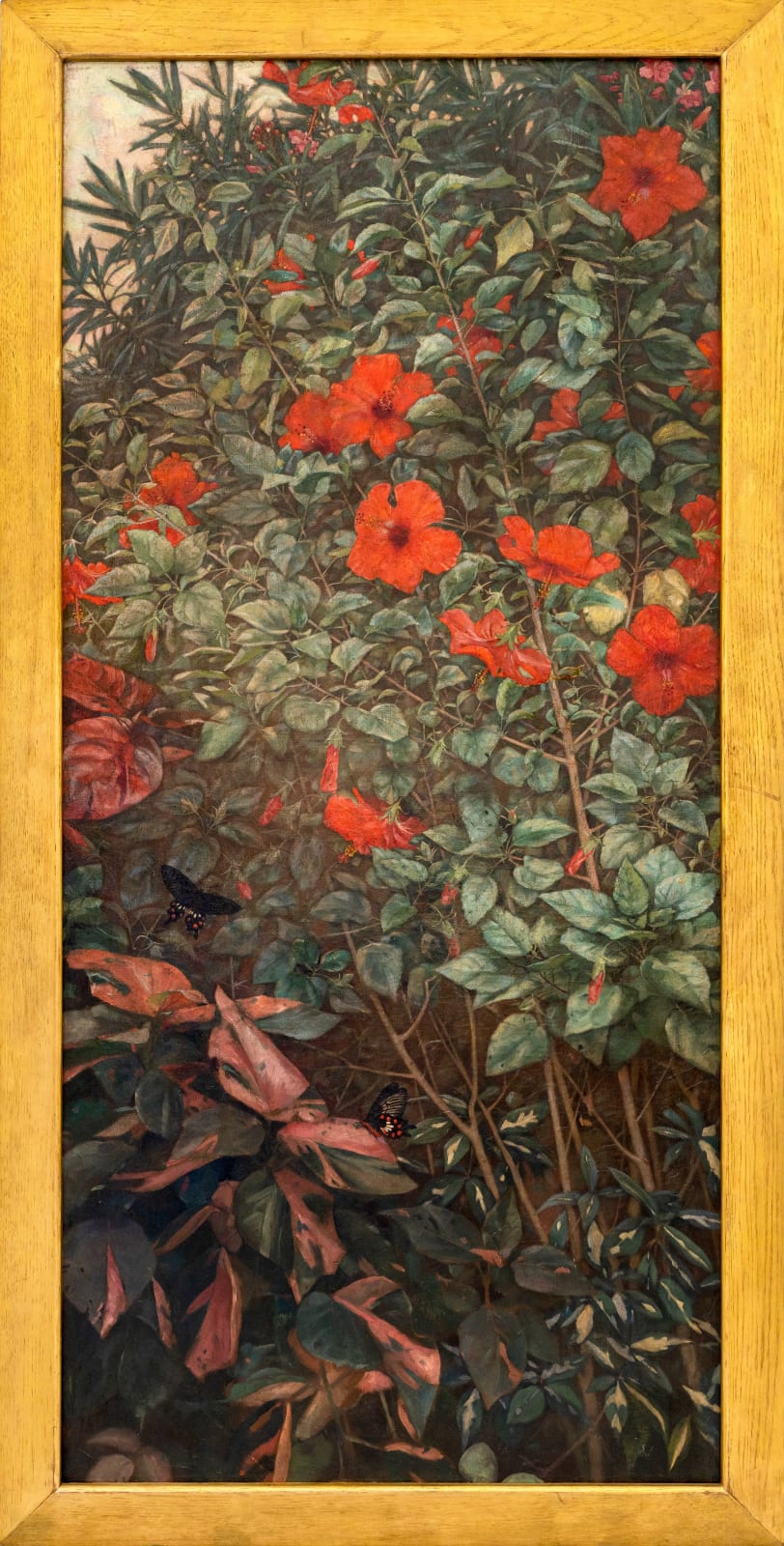 Winifred Strangman (1874 - 1955), Hibiscus (Hibiscus rosa-sinensis), c. 1930s