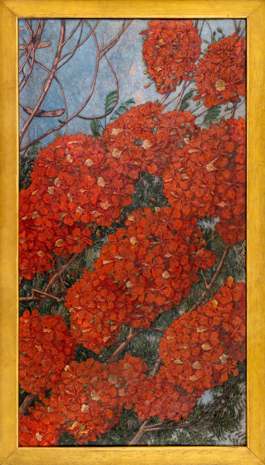 Winifred Strangman (1874 - 1955), Gulmohar (Delonix regia), c. 1930s