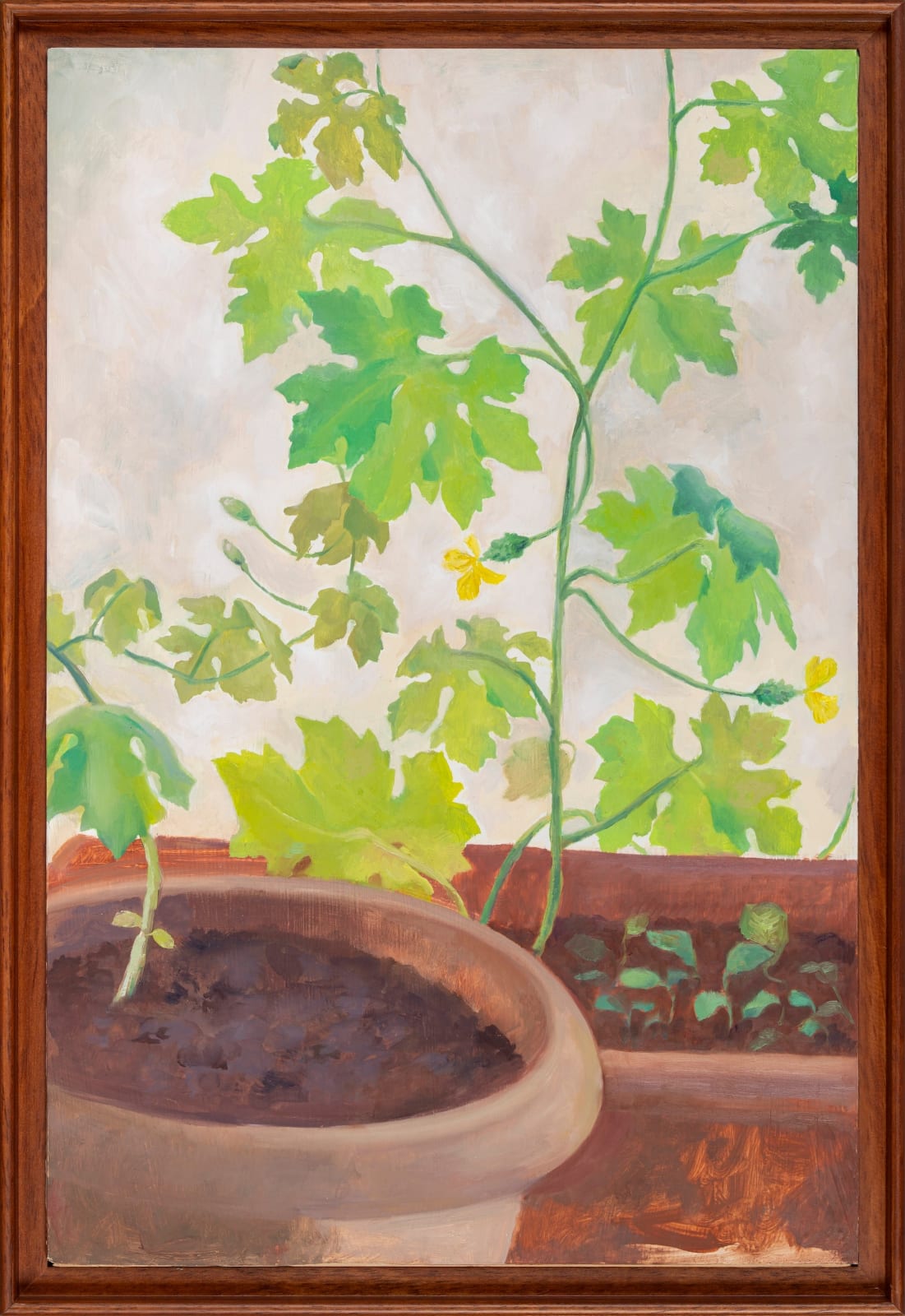 Hemali Vadalia, Fress Flowerings of Karela, 2025