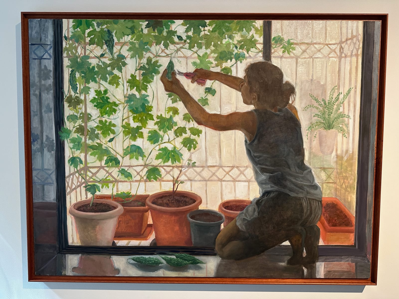 Hemali Vadalia, karela Plant / Window Garden, 2025