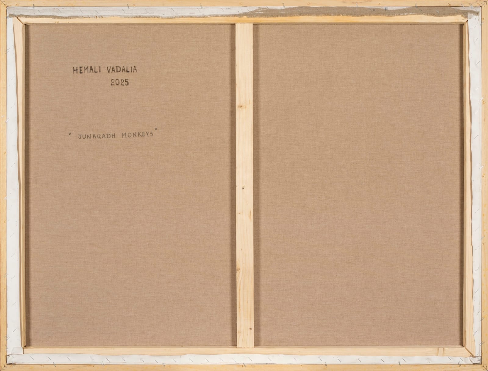 Hemali Vadalia, Junagarh Monkeys, 2025