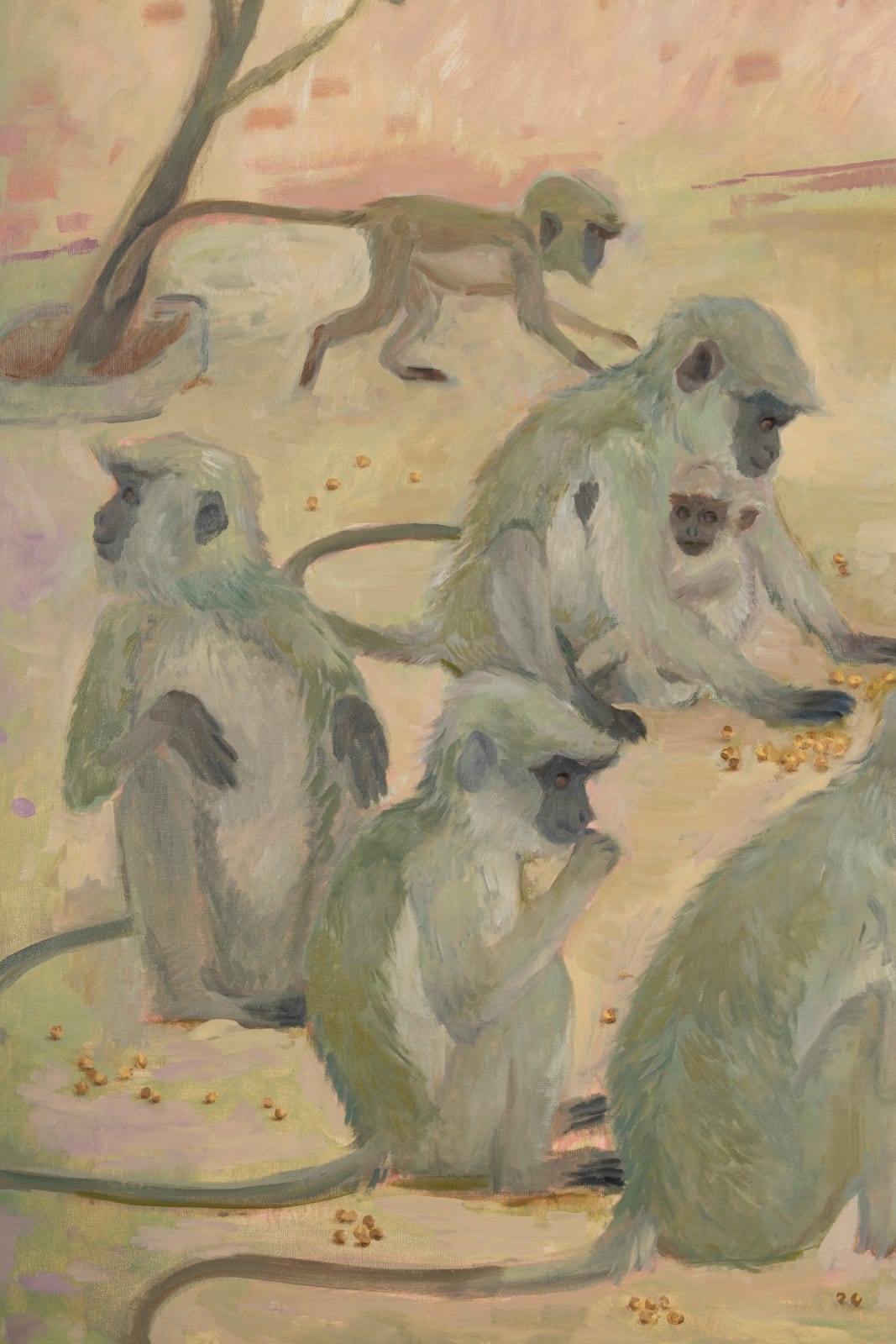 Hemali Vadalia, Junagarh Monkeys, 2025