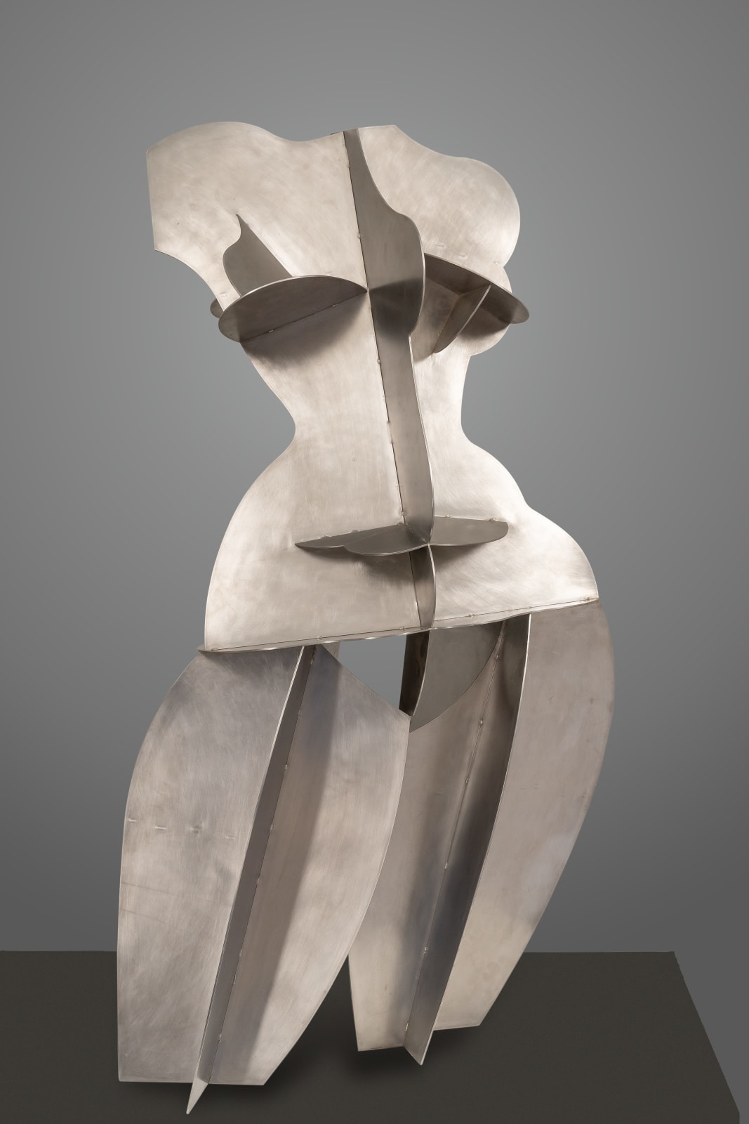 Dhruva Mistry, Torso, 2005–06