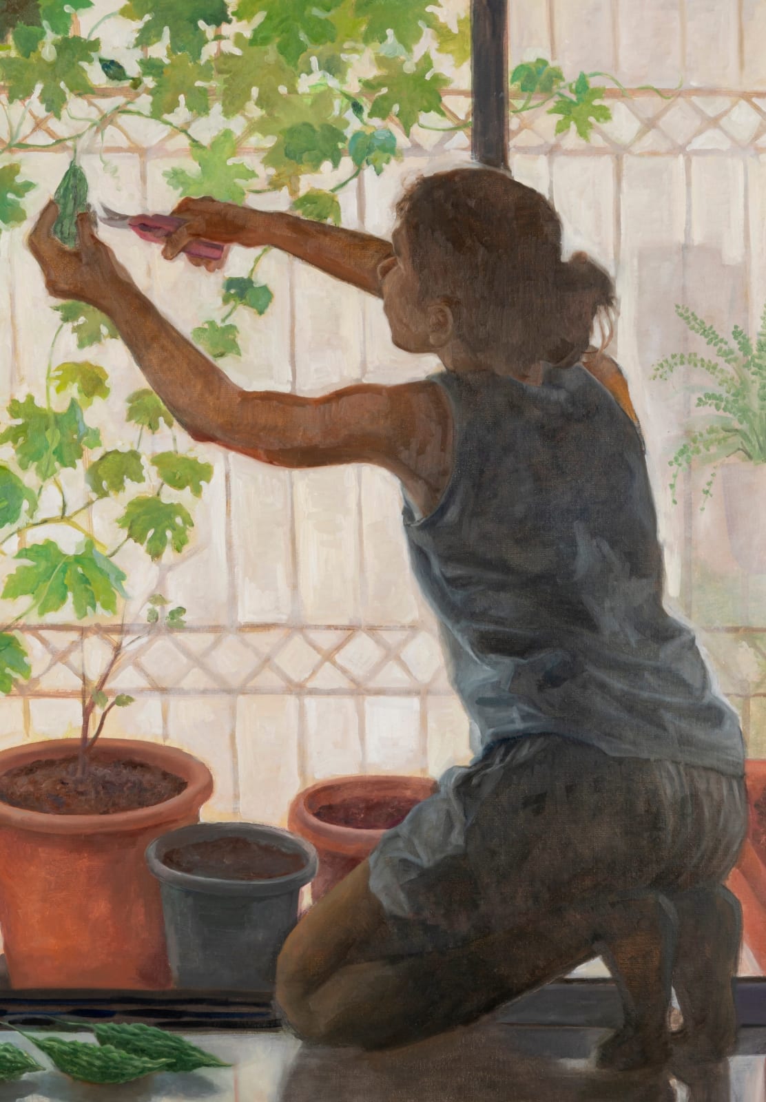 Hemali Vadalia, karela Plant / Window Garden, 2025