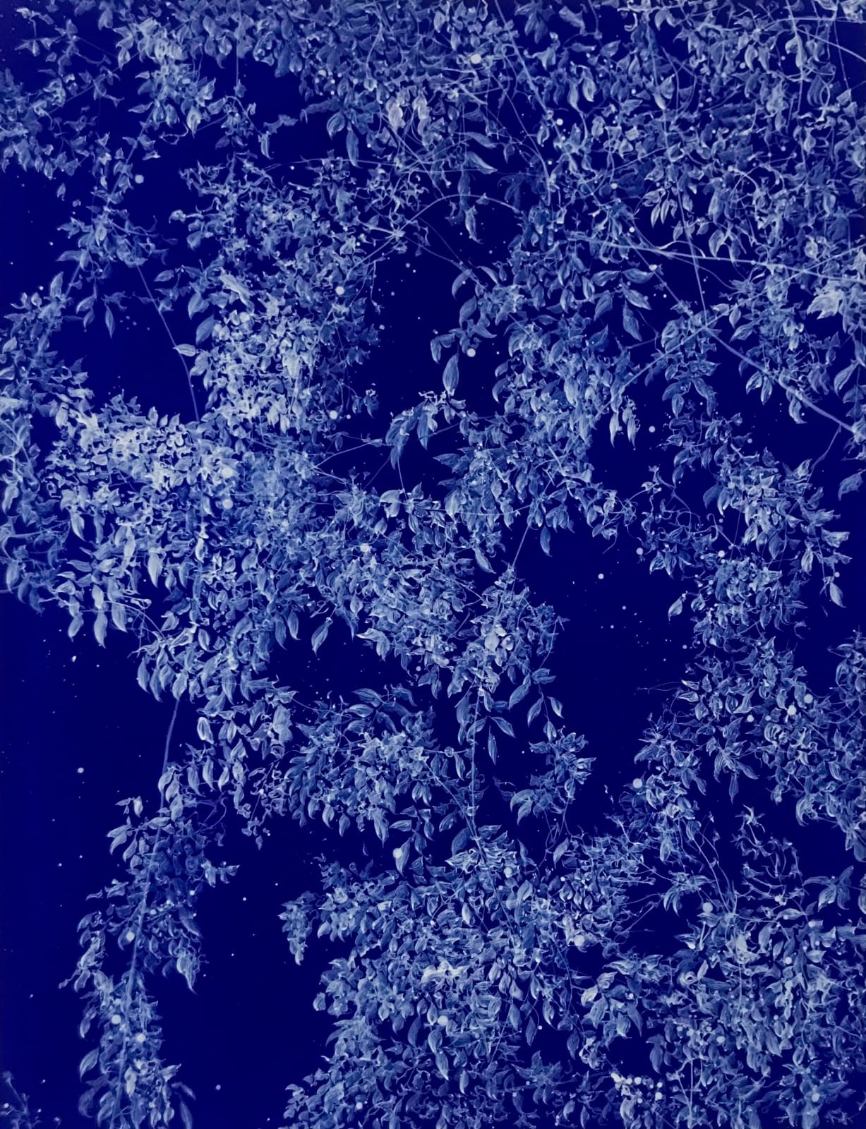 Sue Arrowsmith, Keeping the midnight stars, 2018