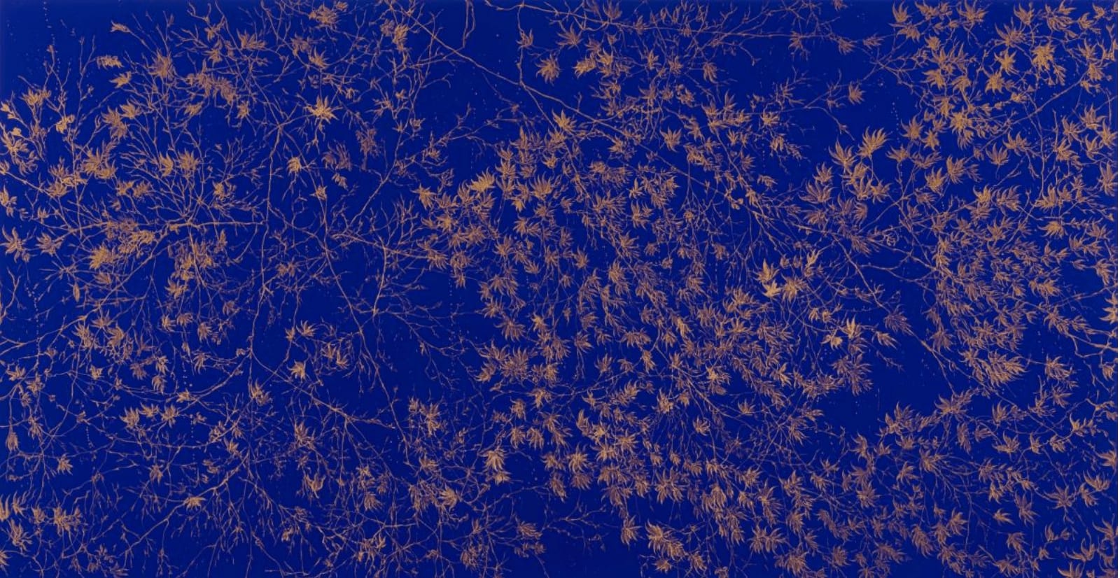 Sue Arrowsmith, Water from the heavens, 2024