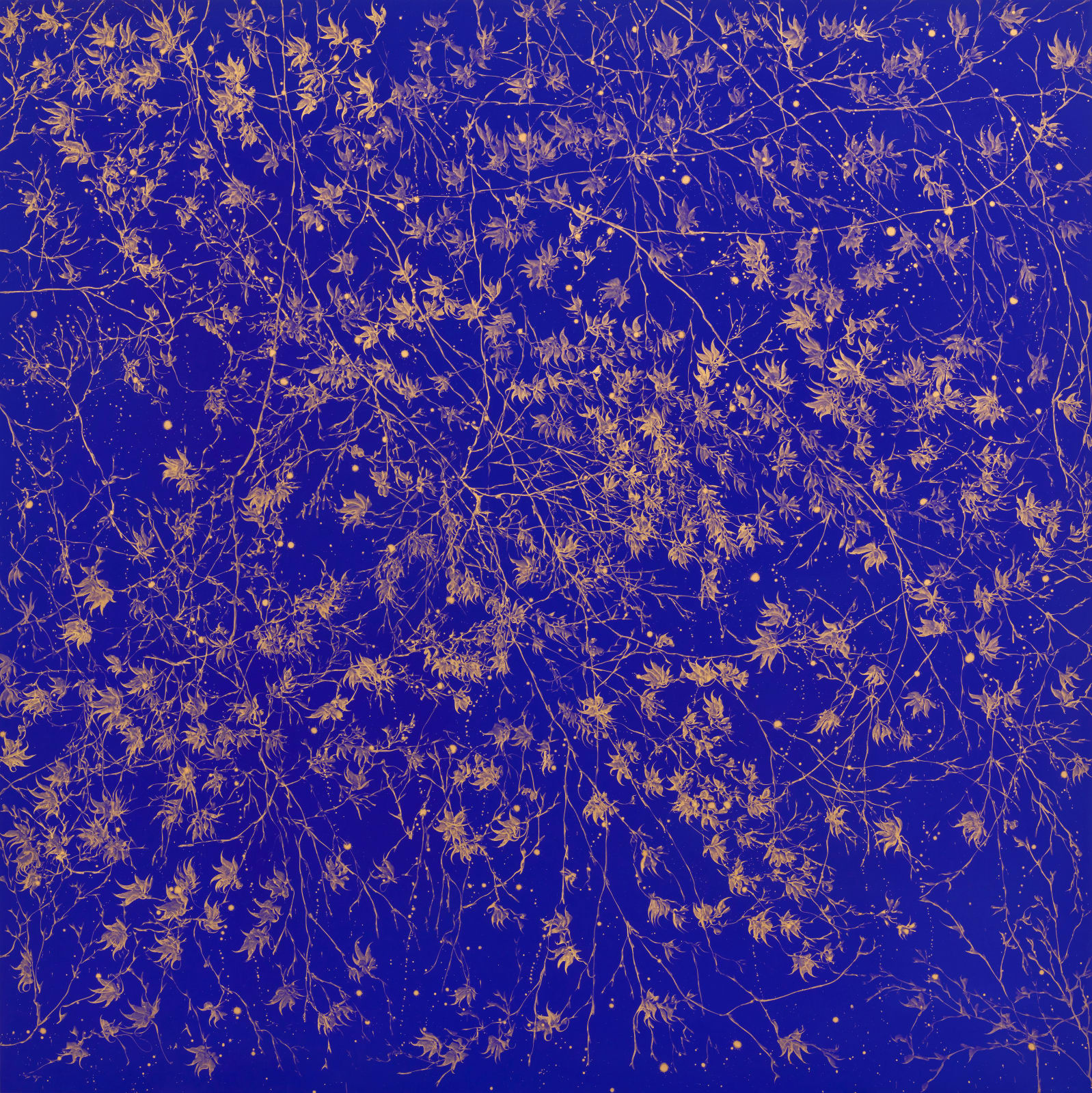 Sue Arrowsmith, The Moon of your Heart, 2024