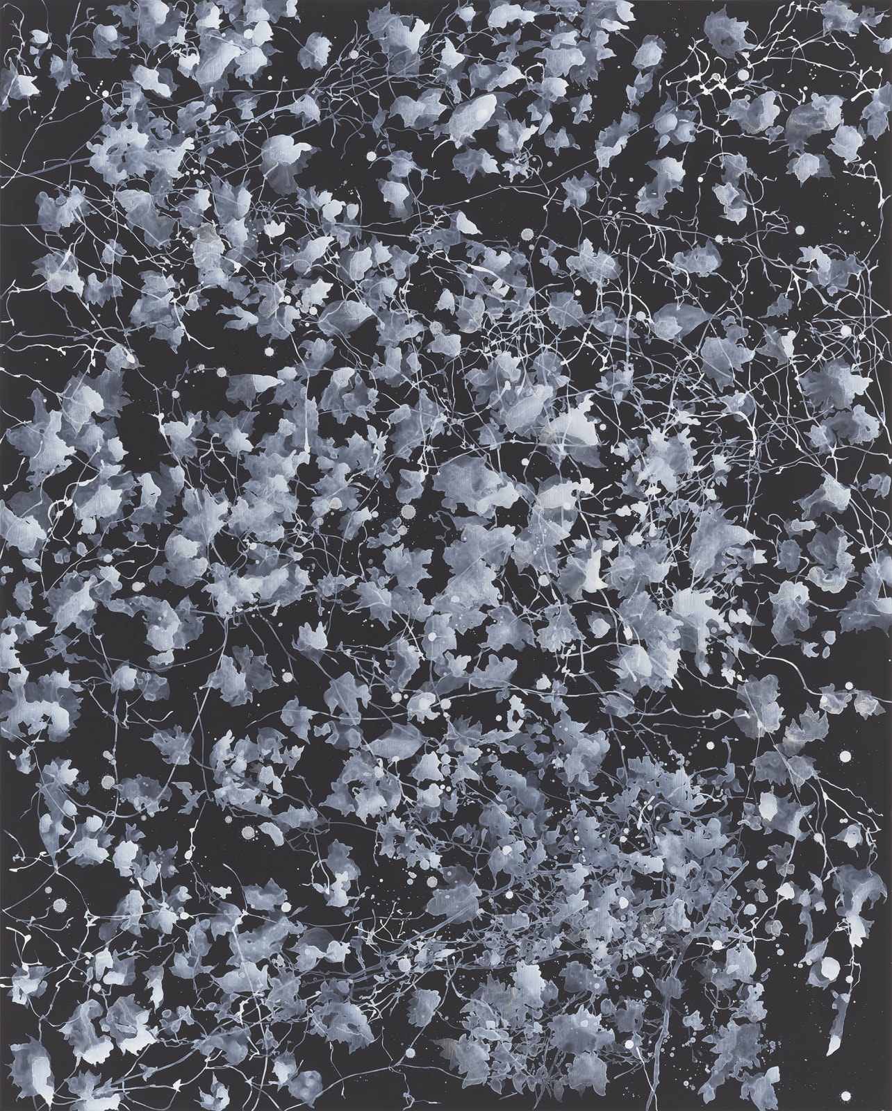 Sue Arrowsmith, The stars have all gone by, 2019