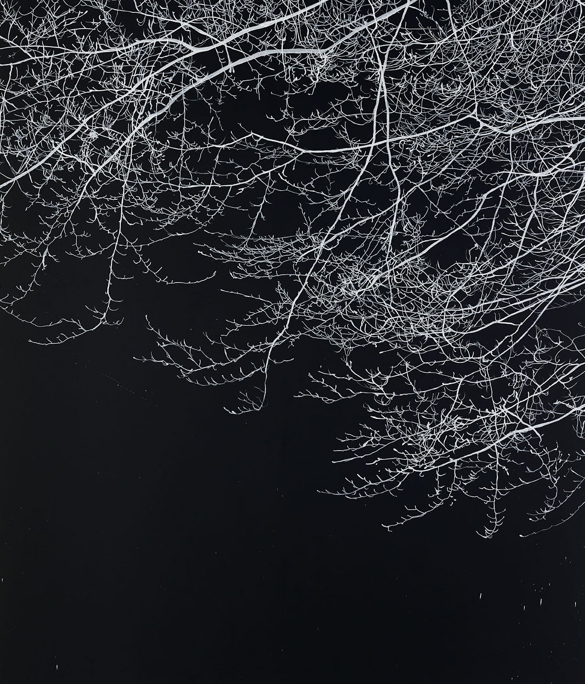 Sue Arrowsmith, Fire filled the sky, 2015