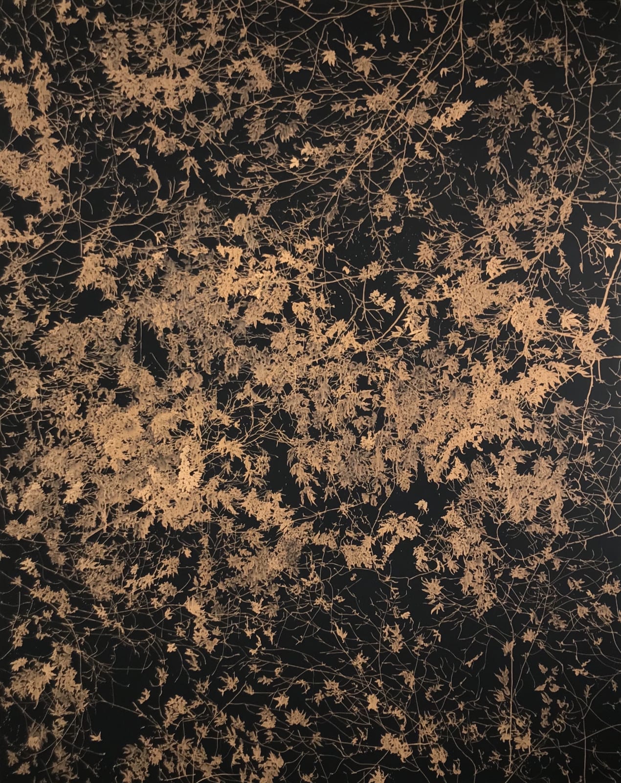 Sue Arrowsmith, There's a quiet storm, 2018